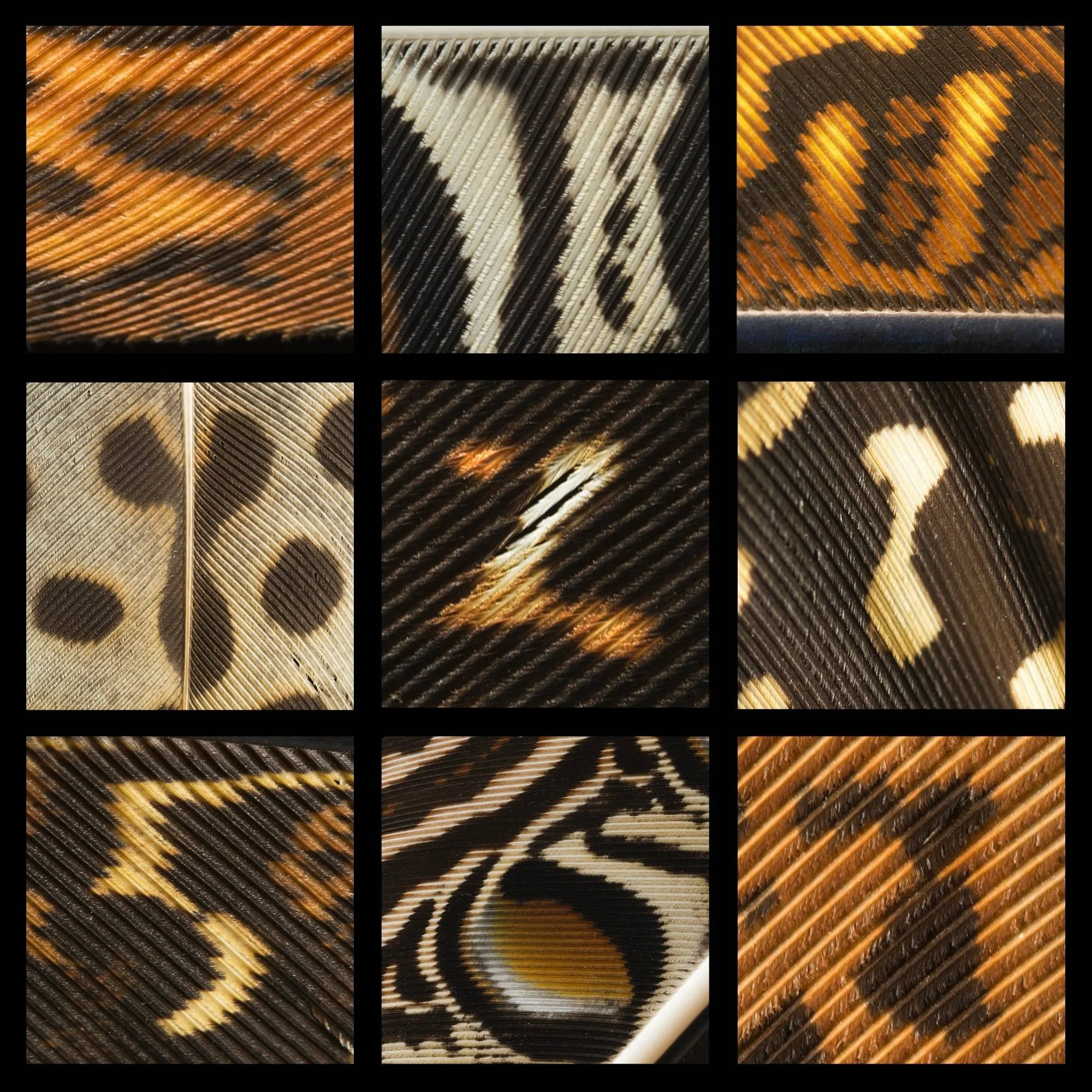 Untitled design (4).jpg