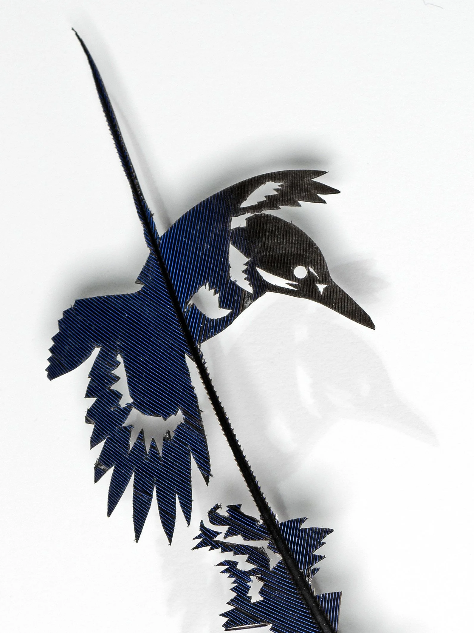 King Fisher Whiter_1.jpg