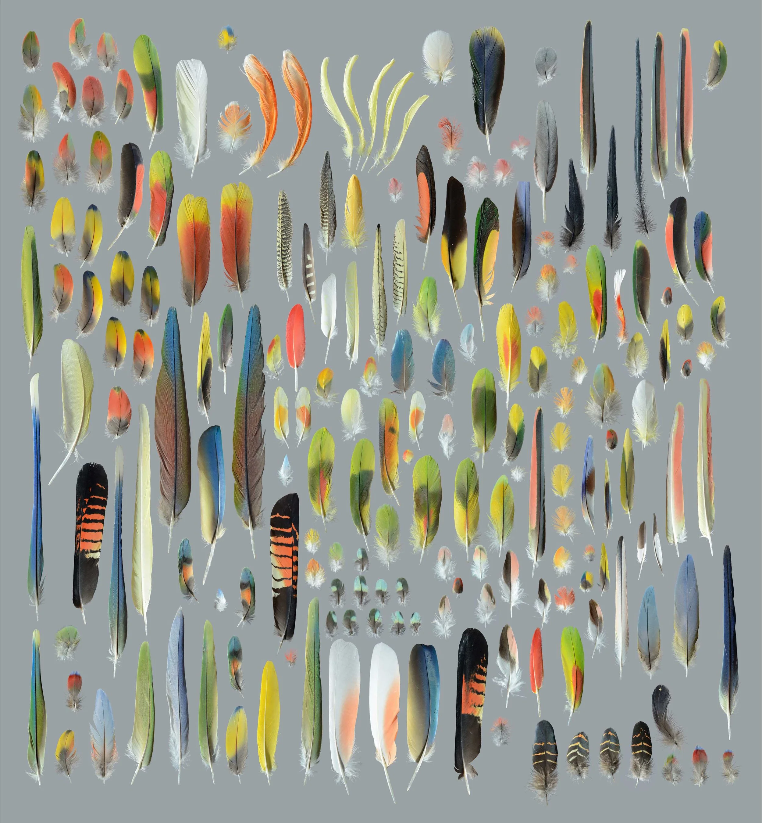 Untitled design (18).jpg