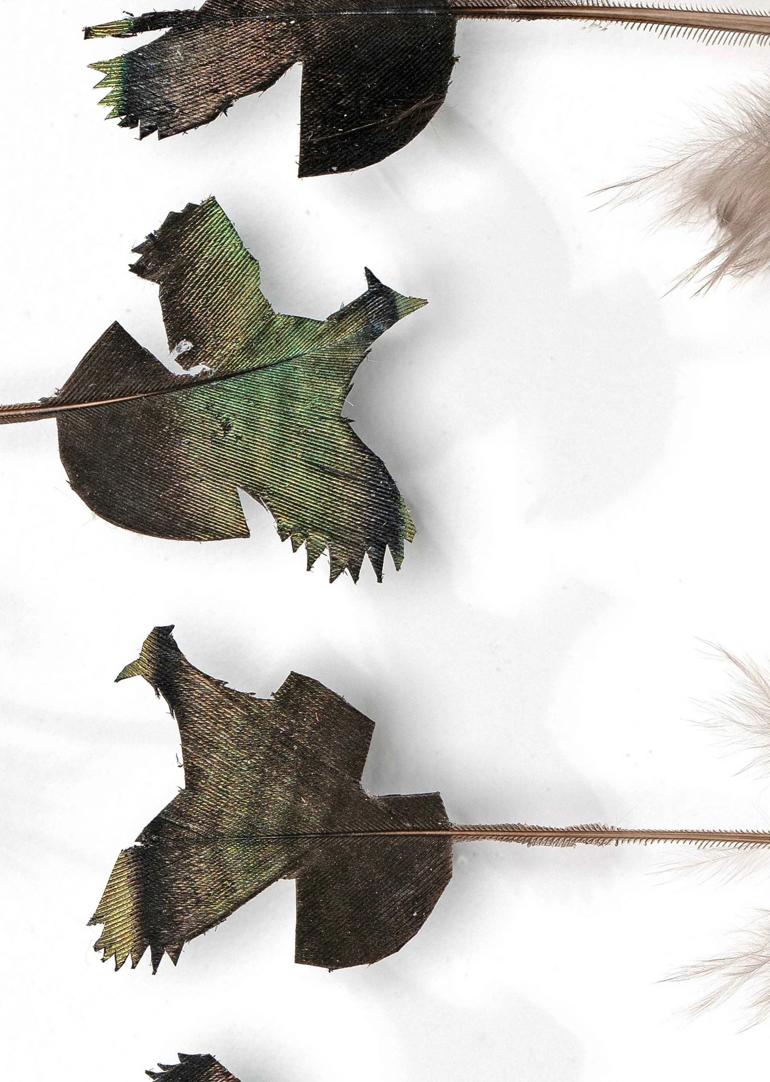 Untitled design (30).jpg