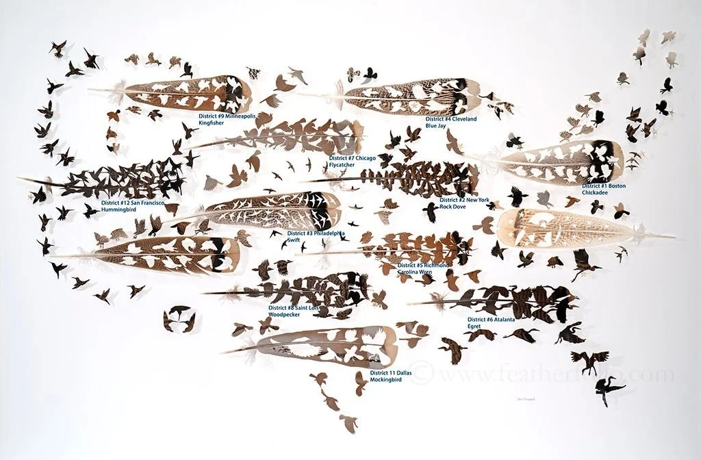 Labeled Federal Reserve.jpeg