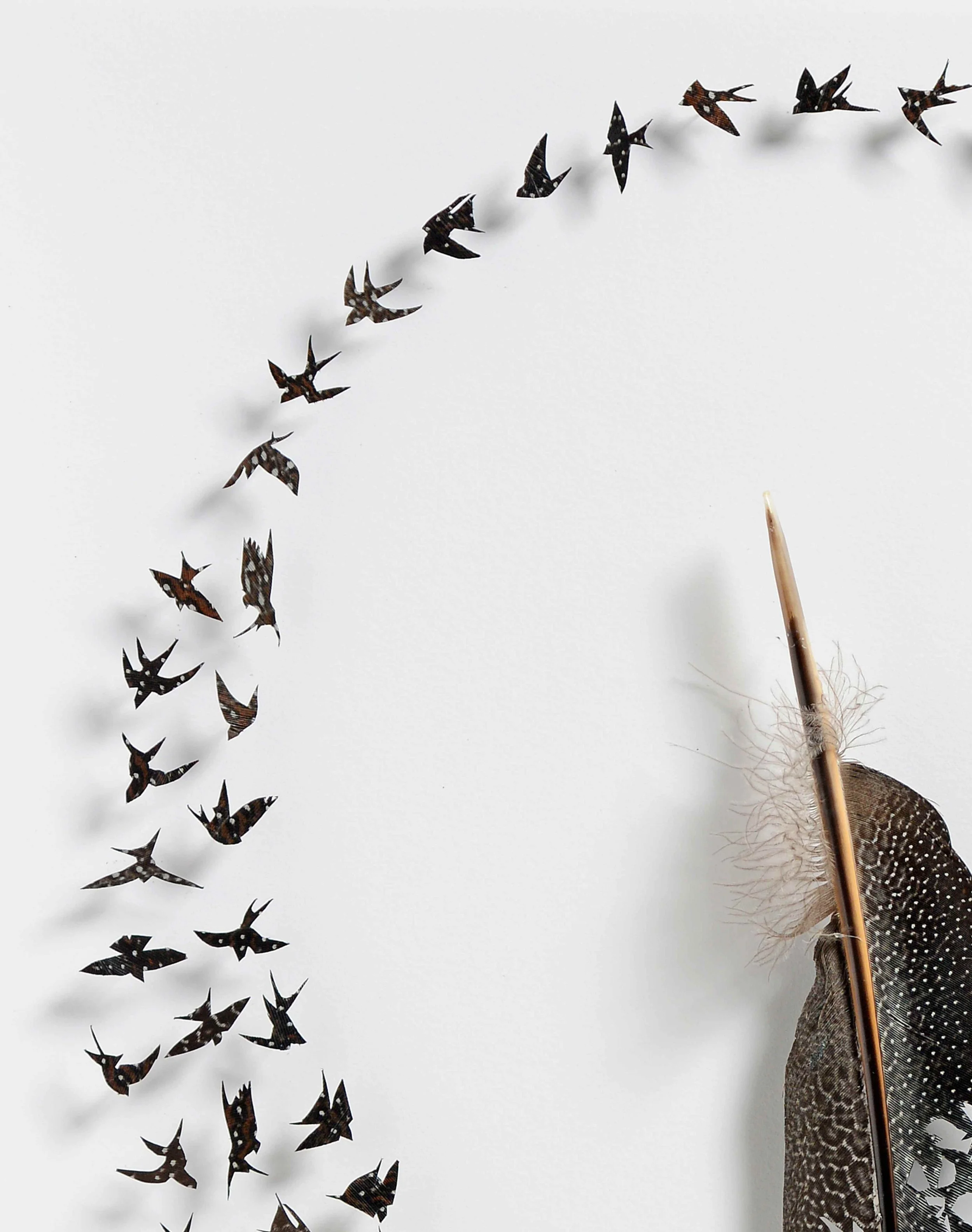 Untitled design (4).jpg