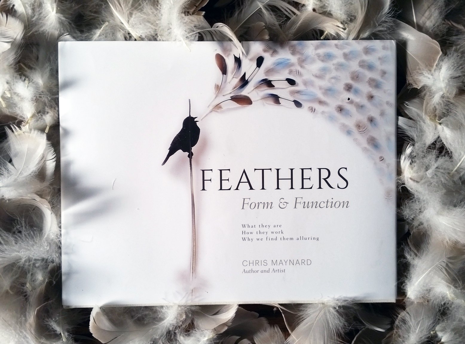 Book on Feathers1.jpg