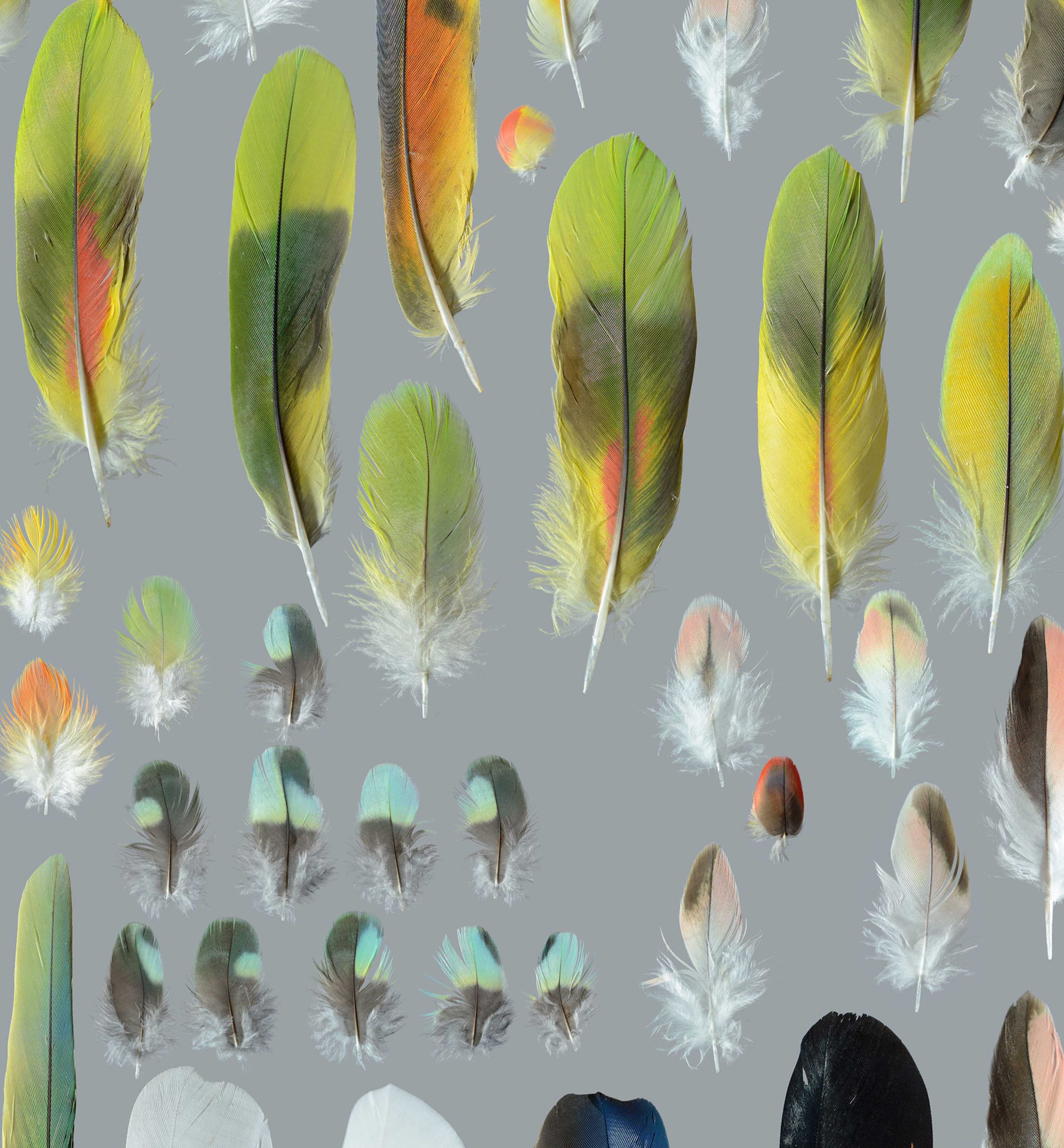 Untitled design (20).jpg