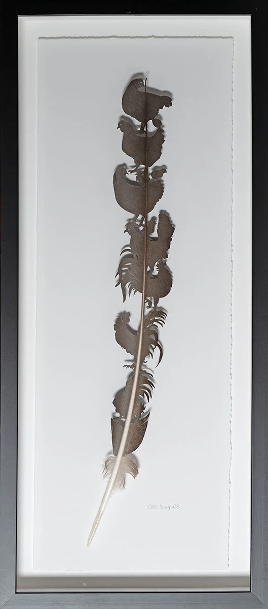 Thank You Chickens Framed WEB.jpg