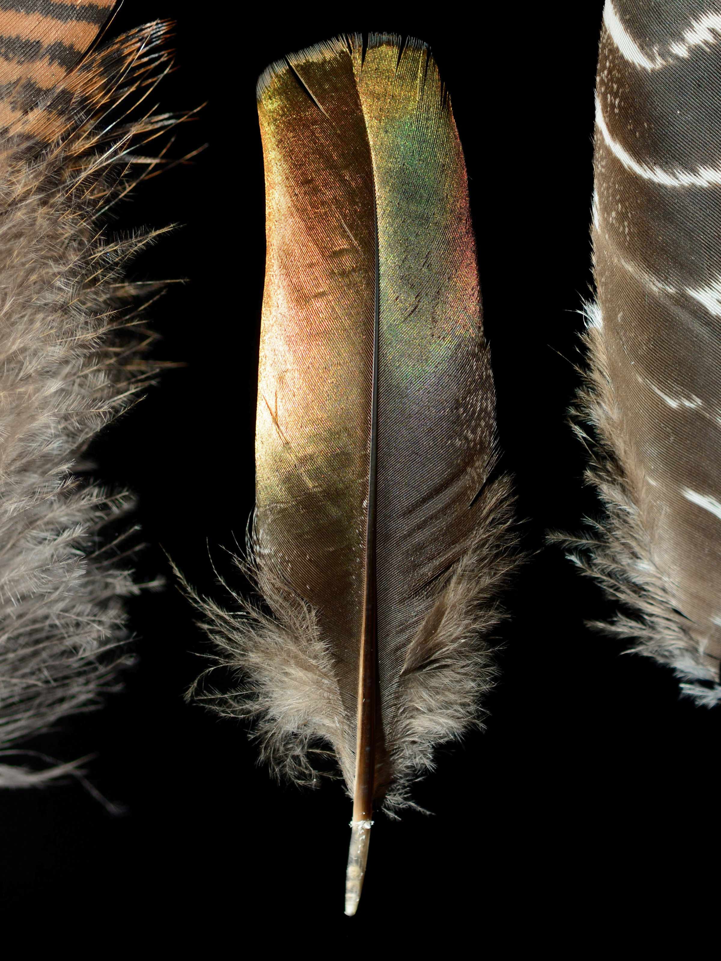 Untitled (2400 x 3200 px).jpg