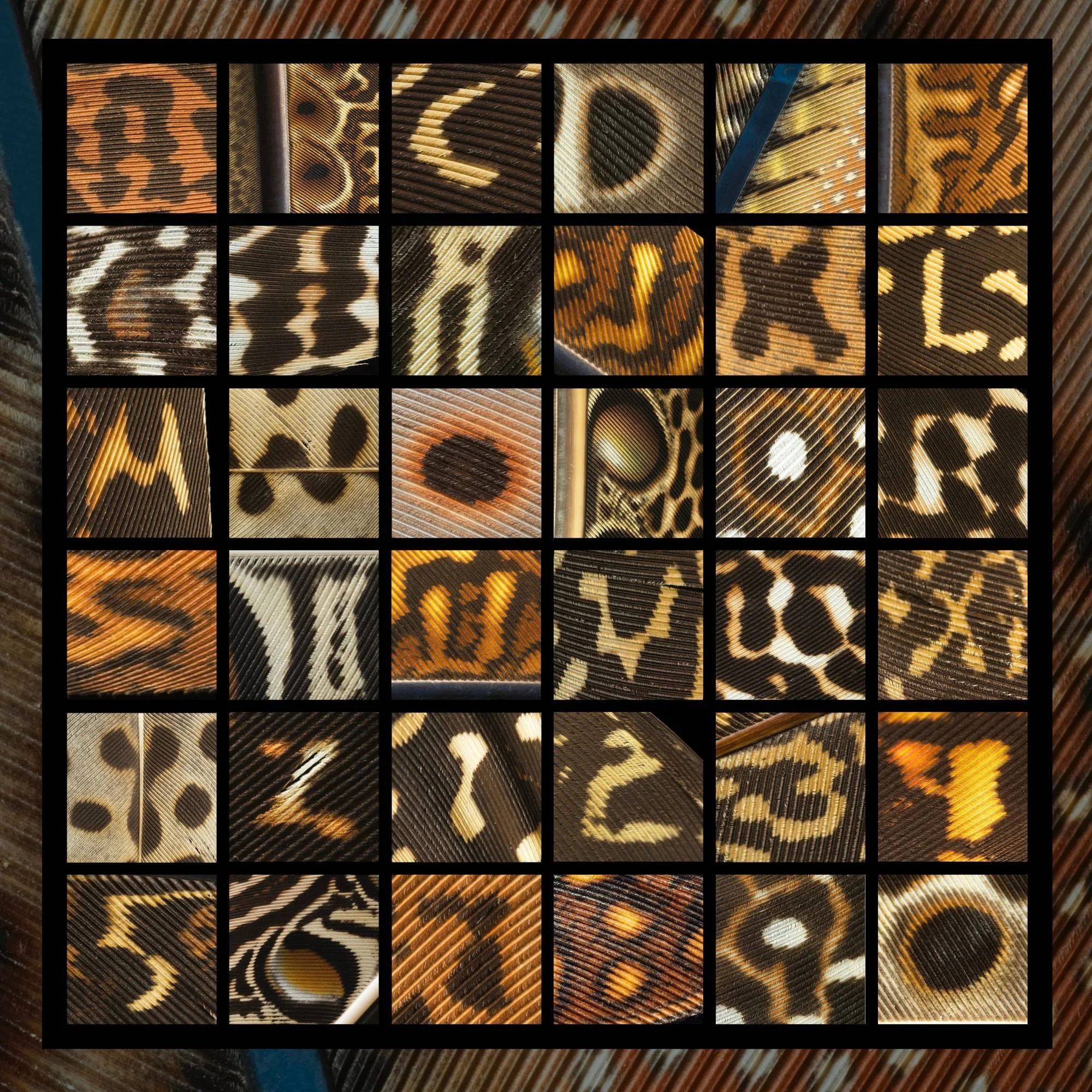 Untitled design (1).jpg