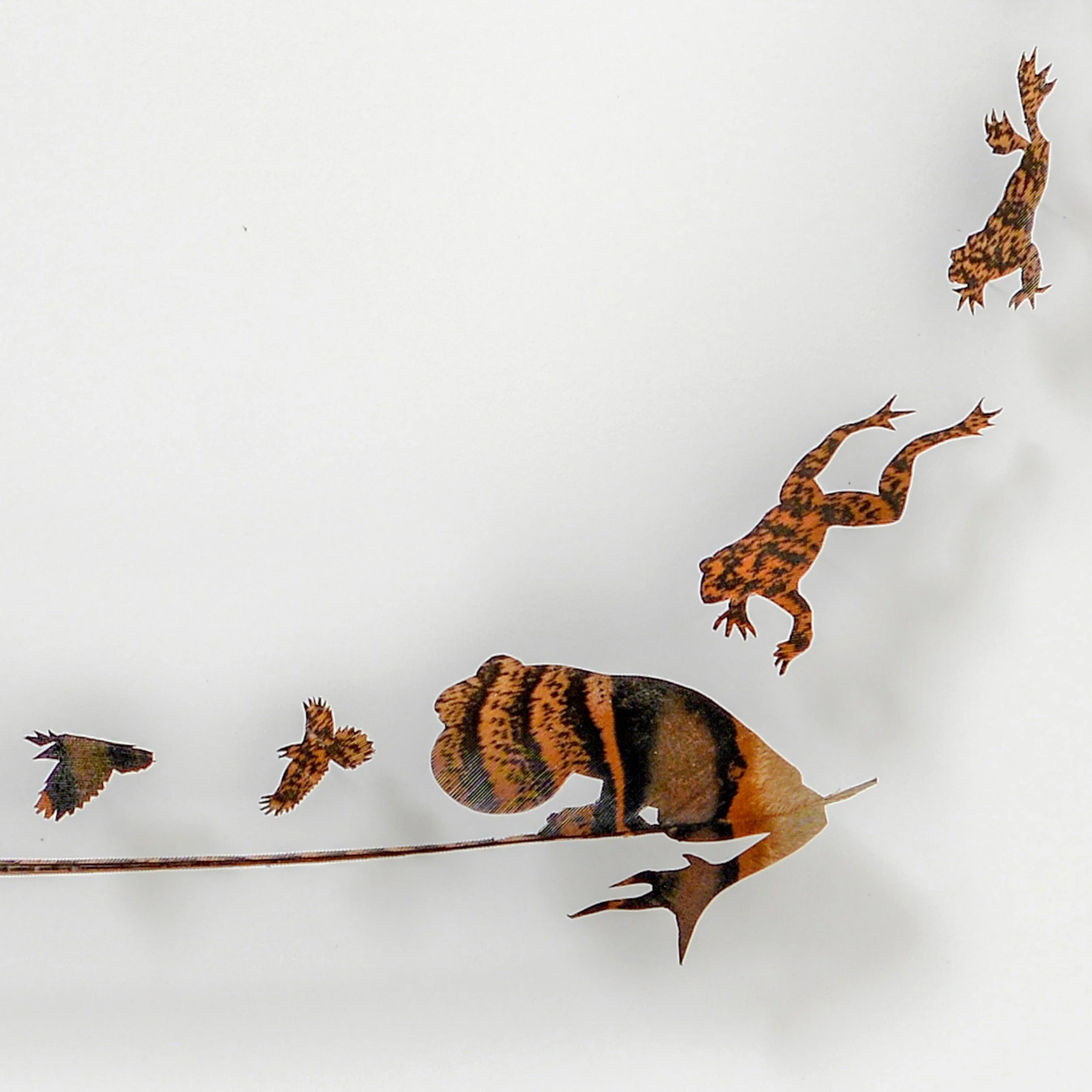 Untitled design (19).jpg