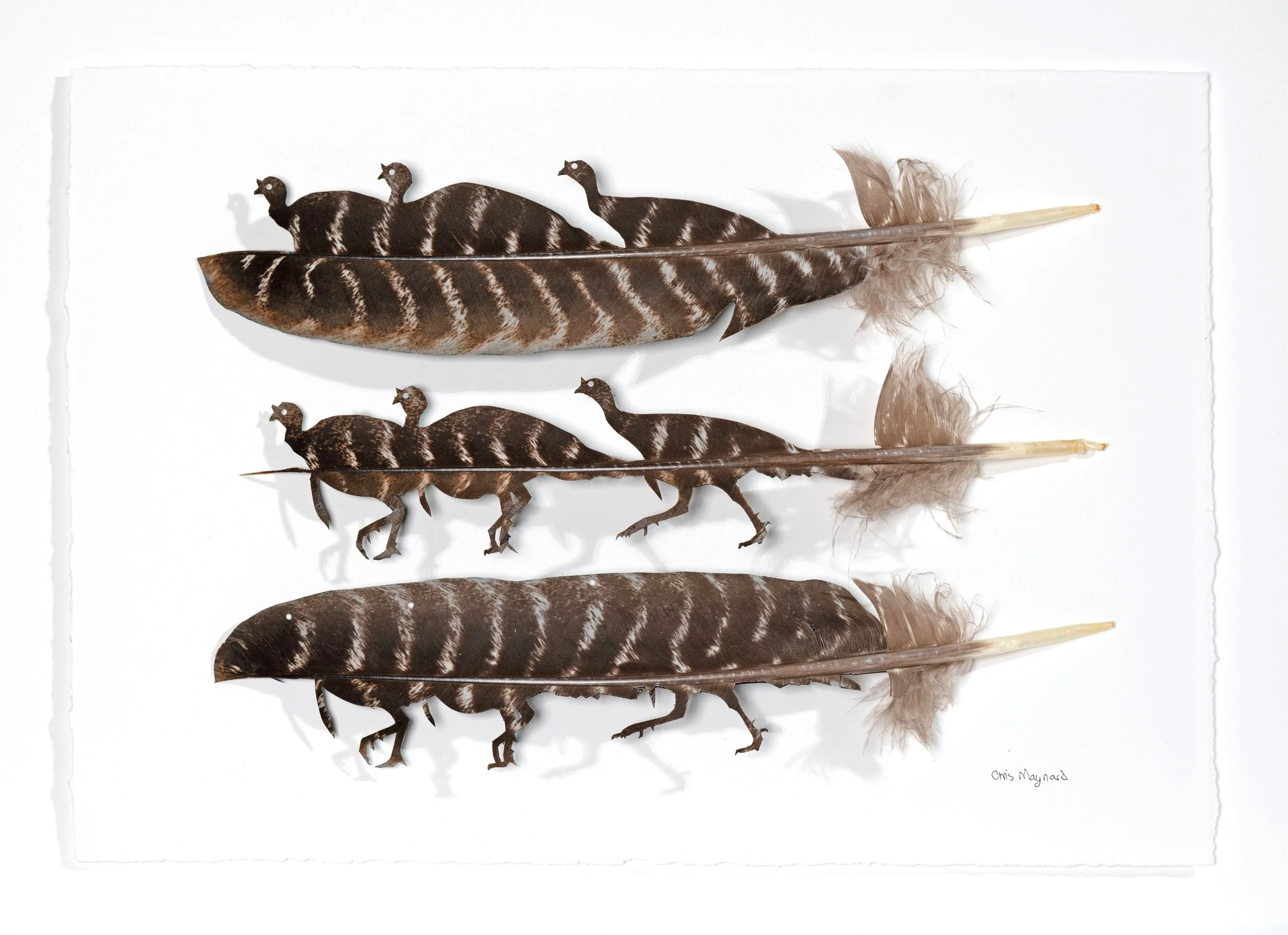 Untitled design (23).jpg