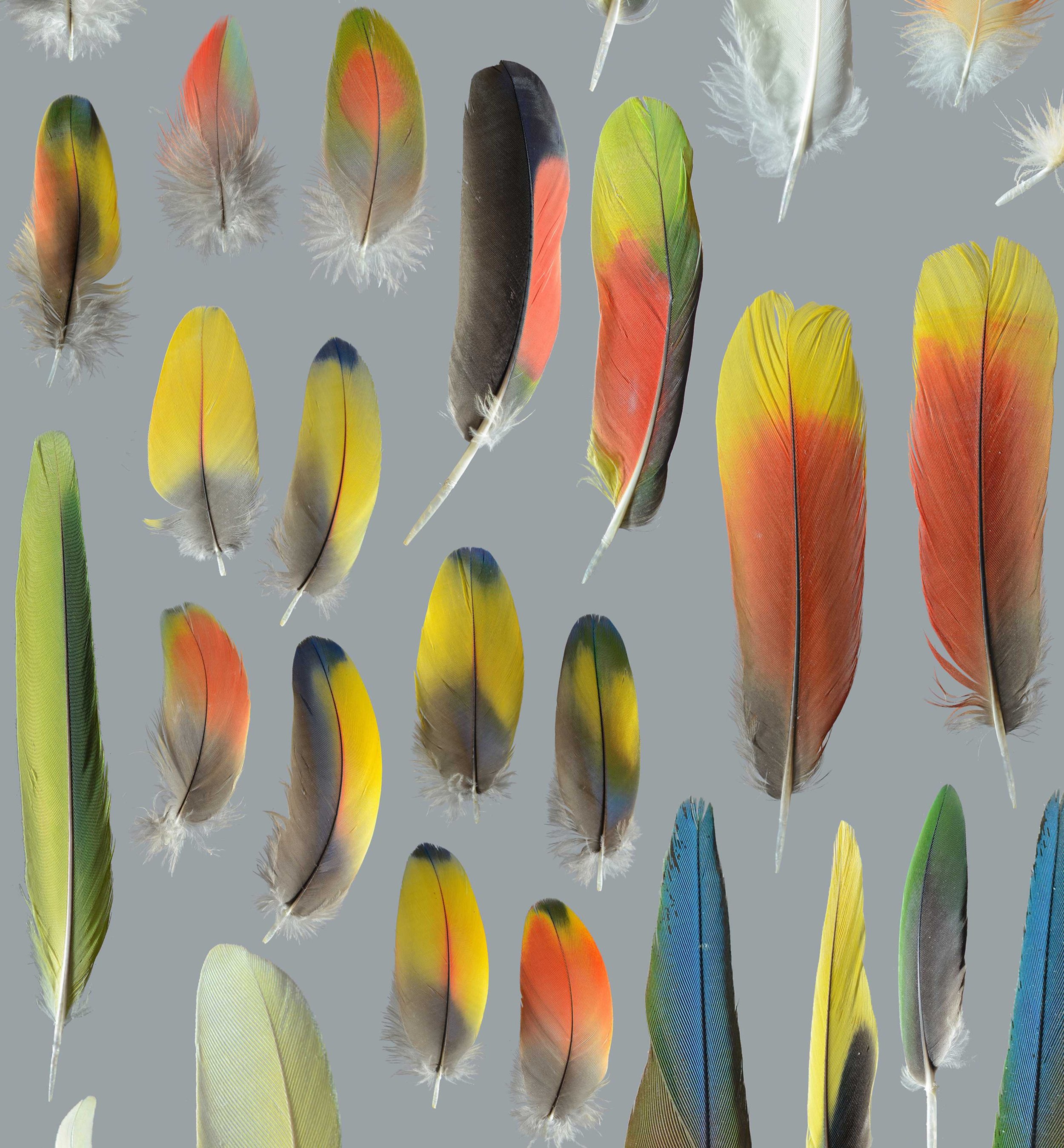 Untitled design (21).jpg