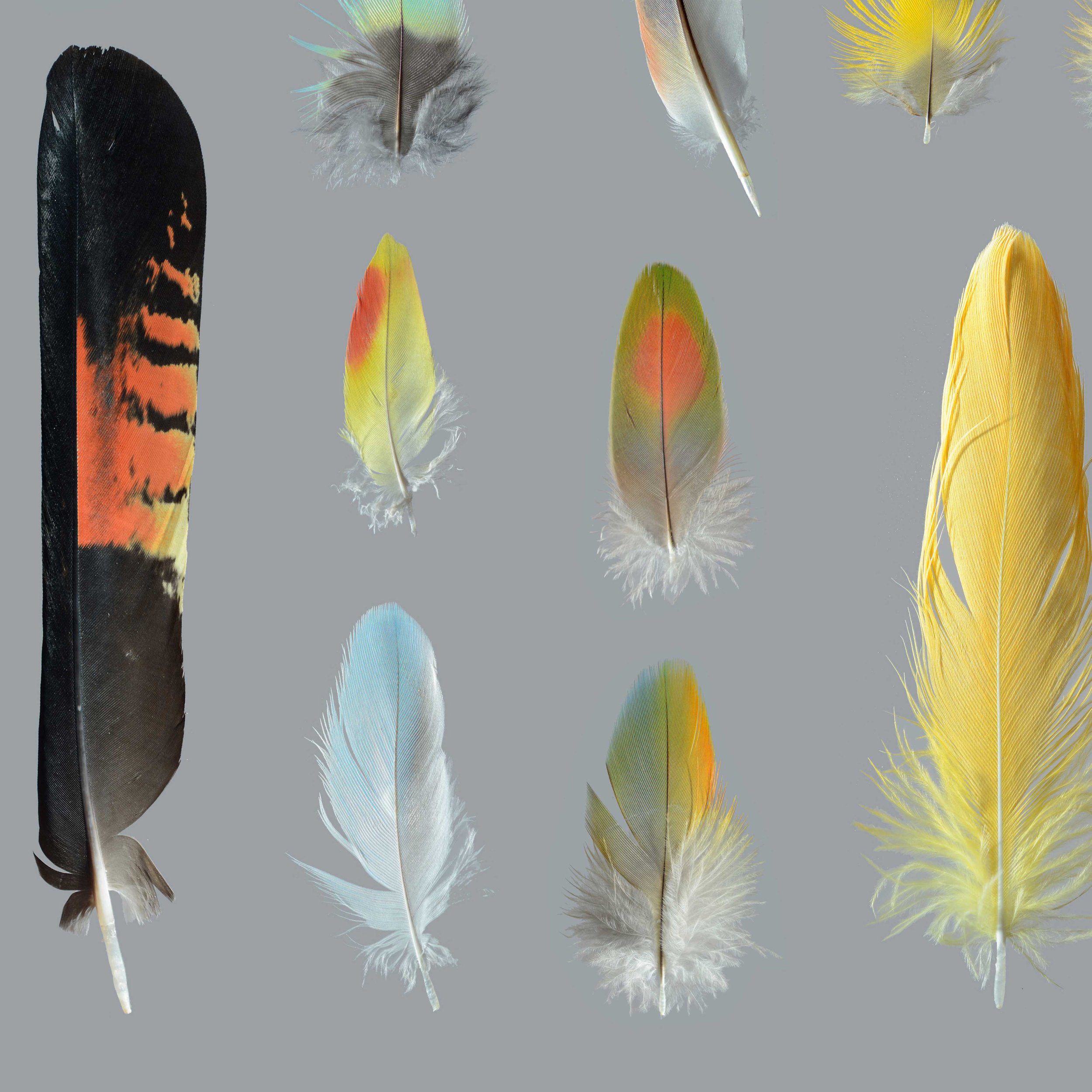 Untitled design (17).jpg