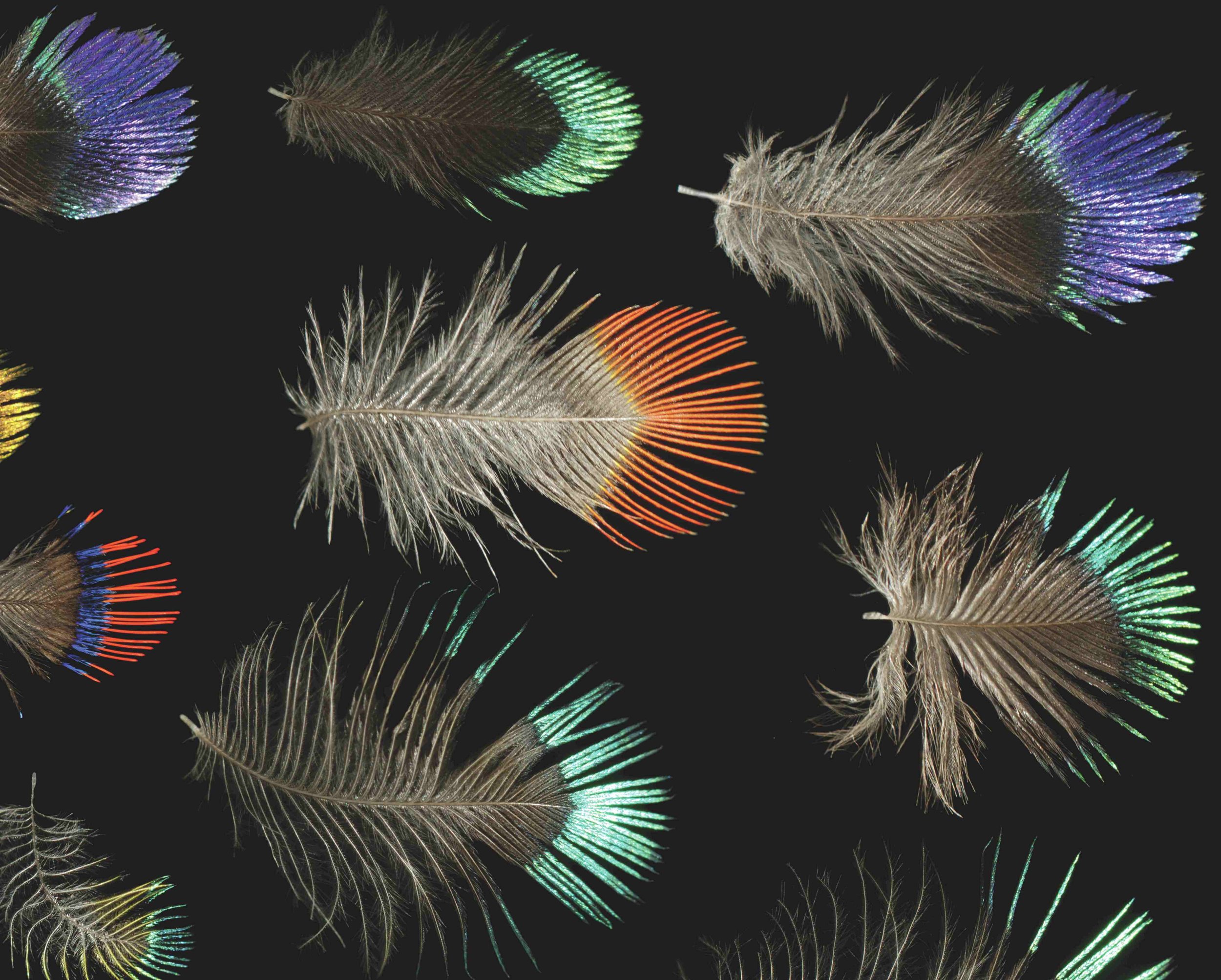 Untitled design (33).jpg