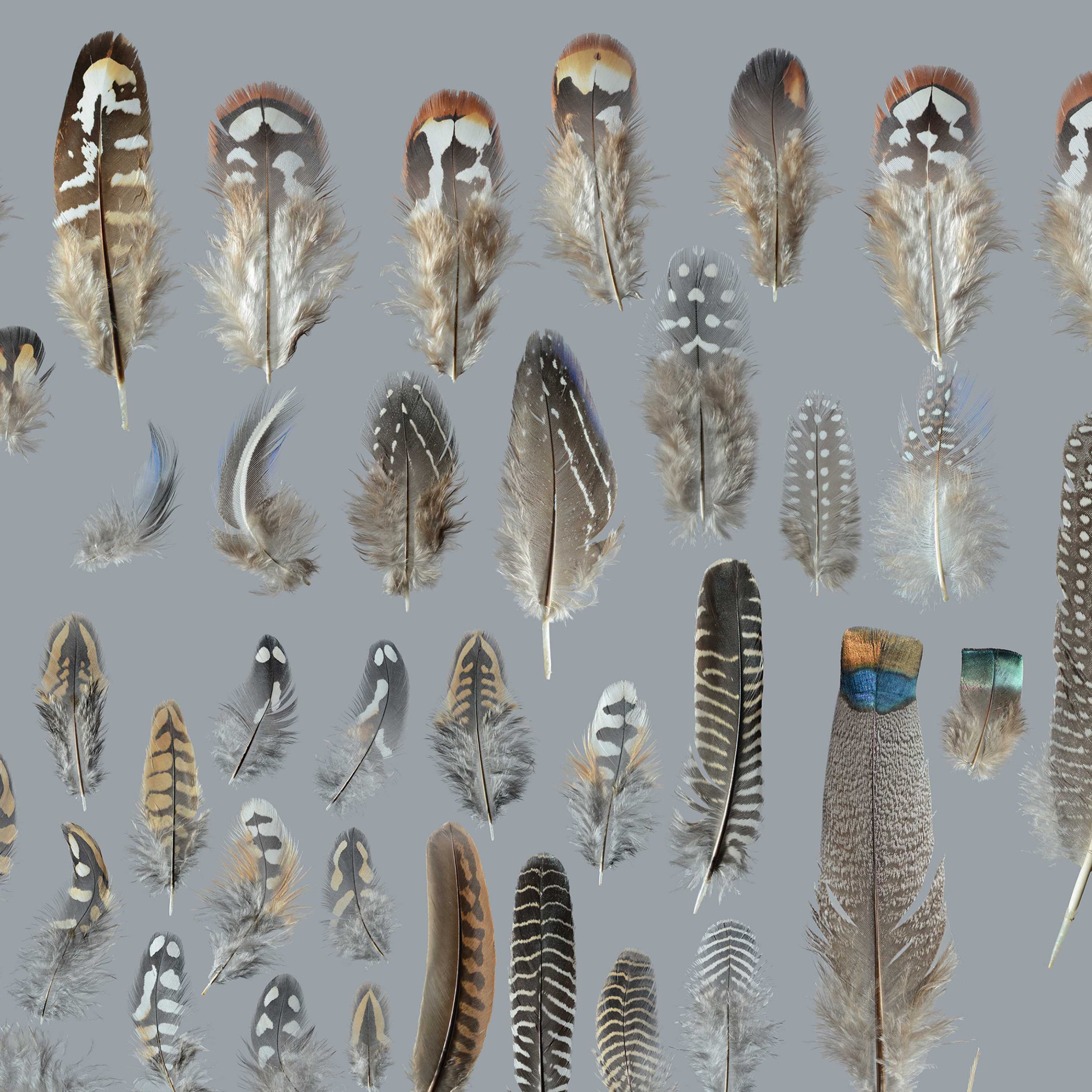 Untitled design (10).jpg