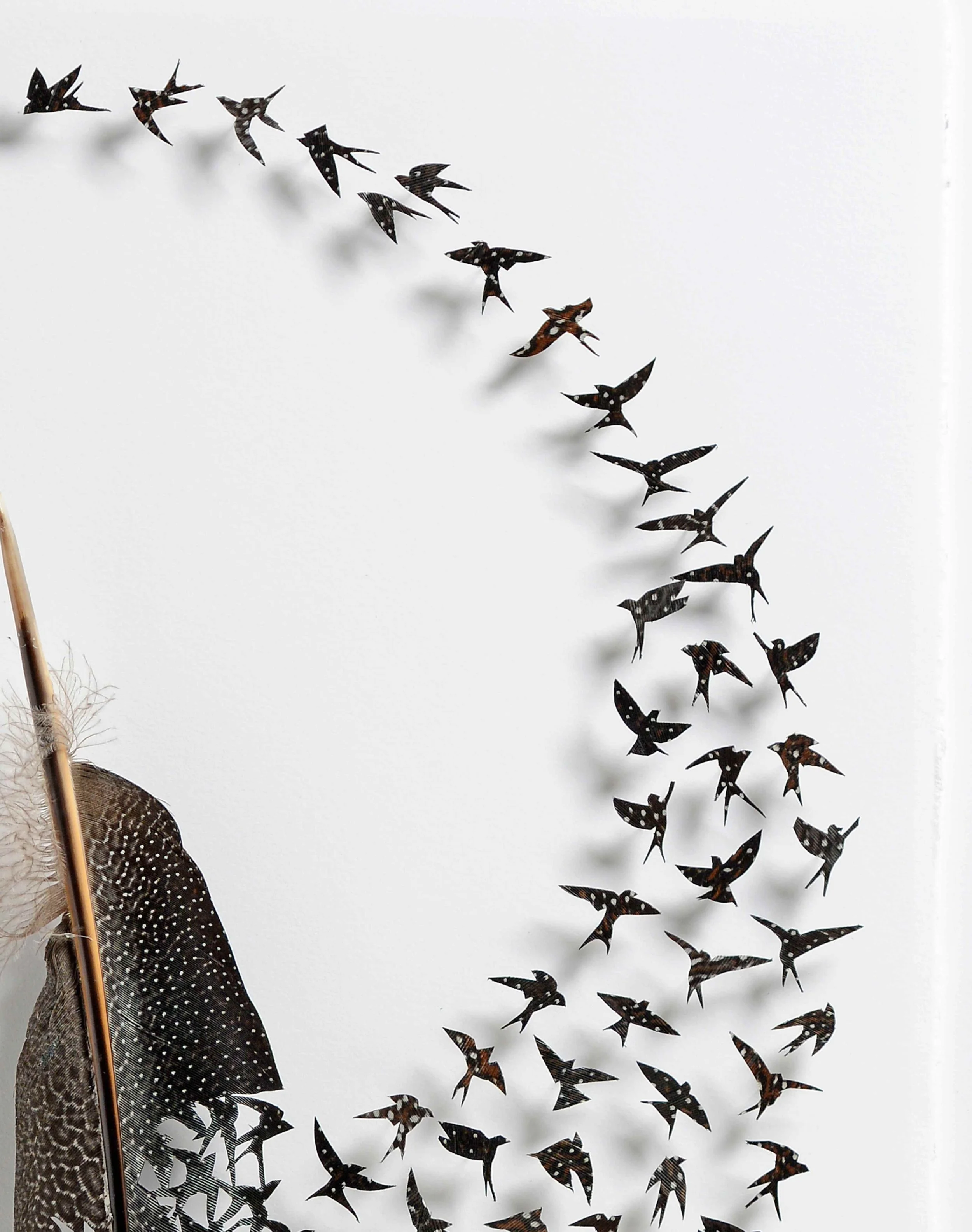 Untitled design (5).jpg