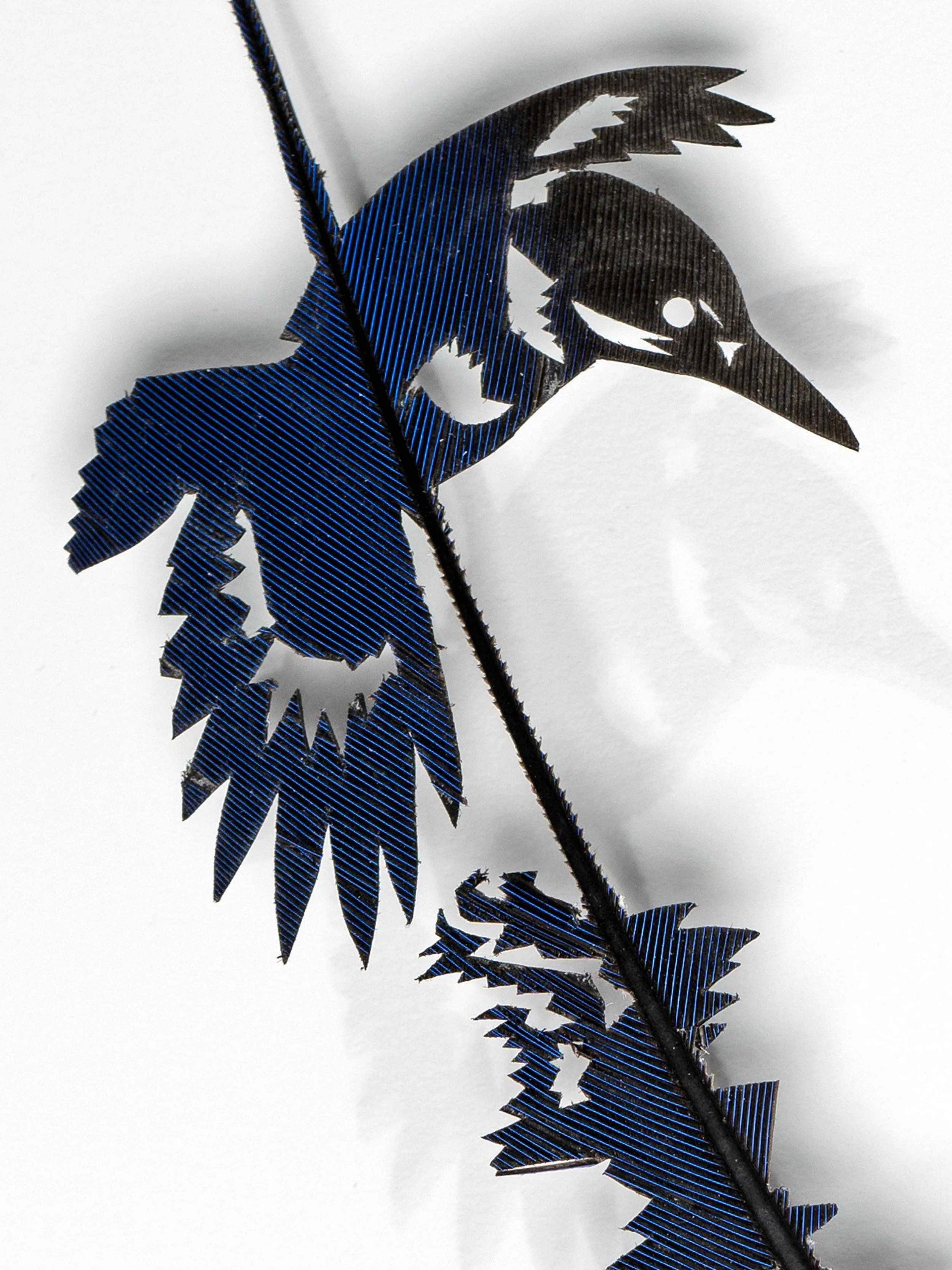 Untitled design (25).jpg