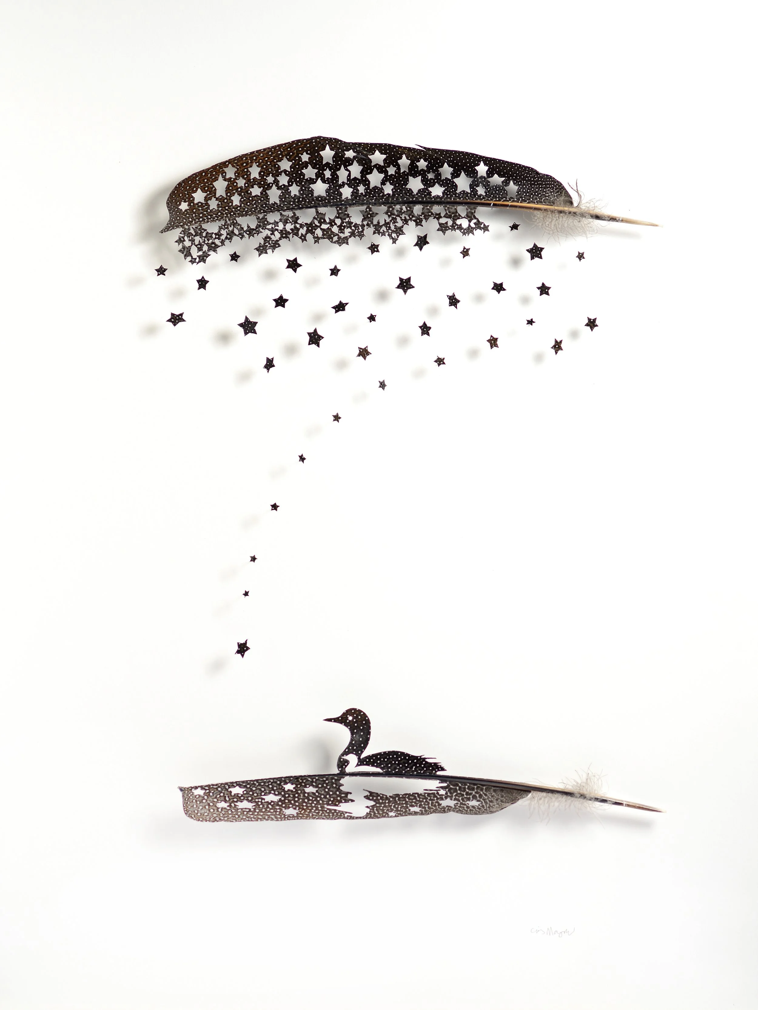 Loon_Star_c 32x.jpg (Copy)