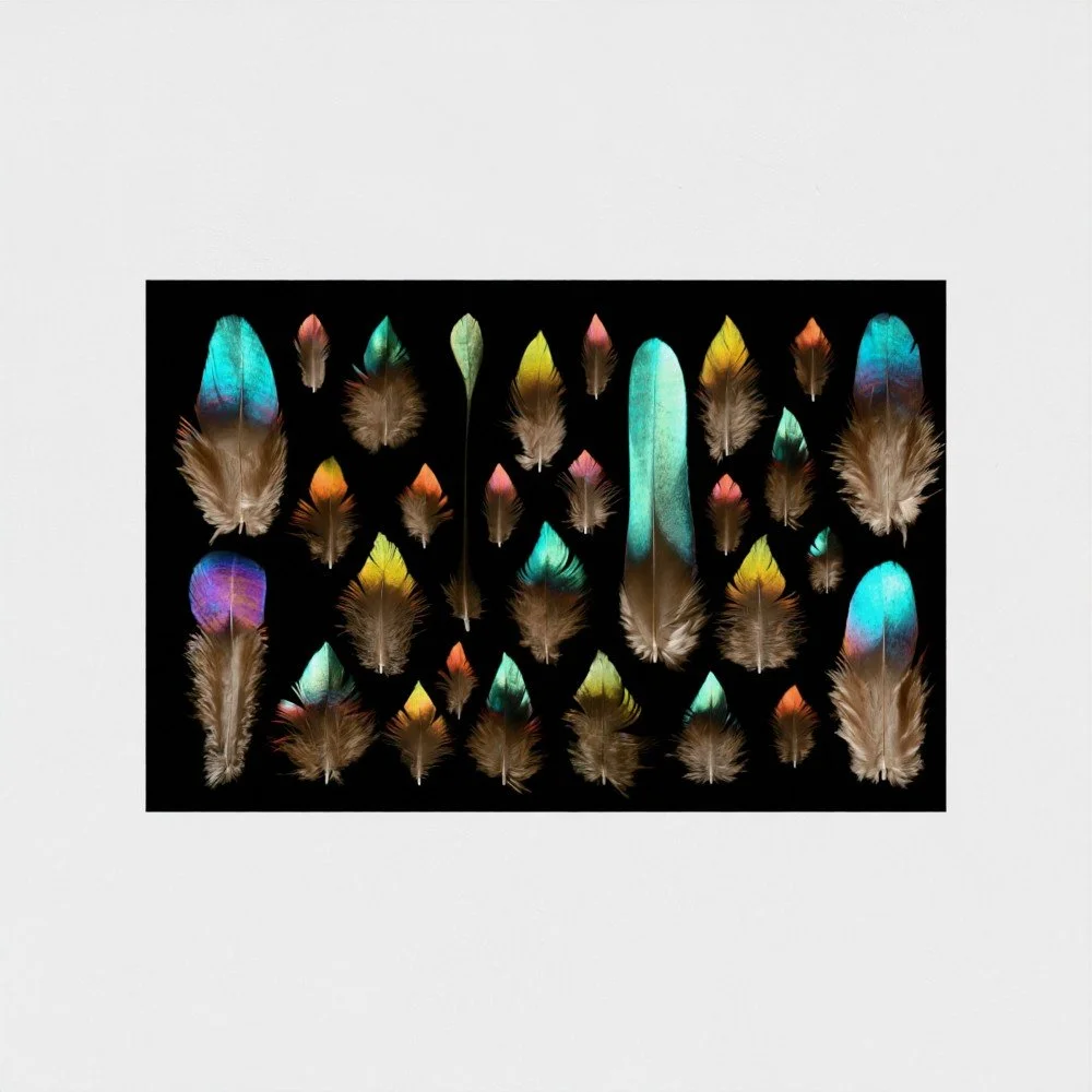 prodigi-GLOBAL-HPR-16X24 (1).jpg