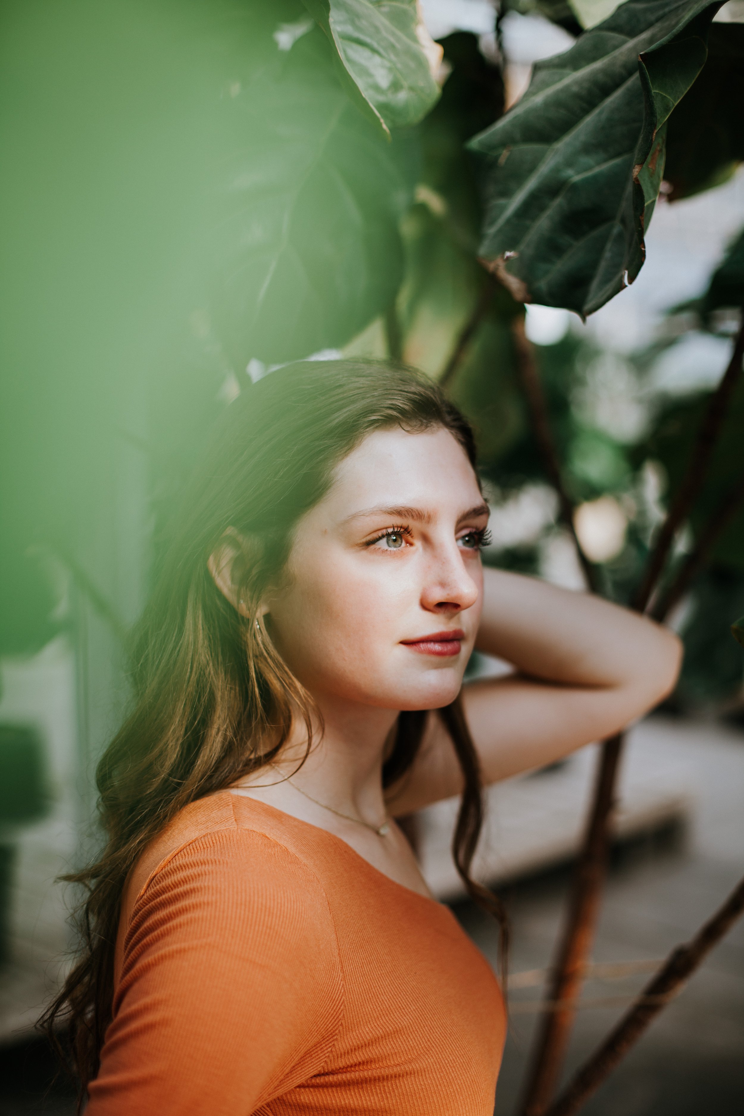 Alida