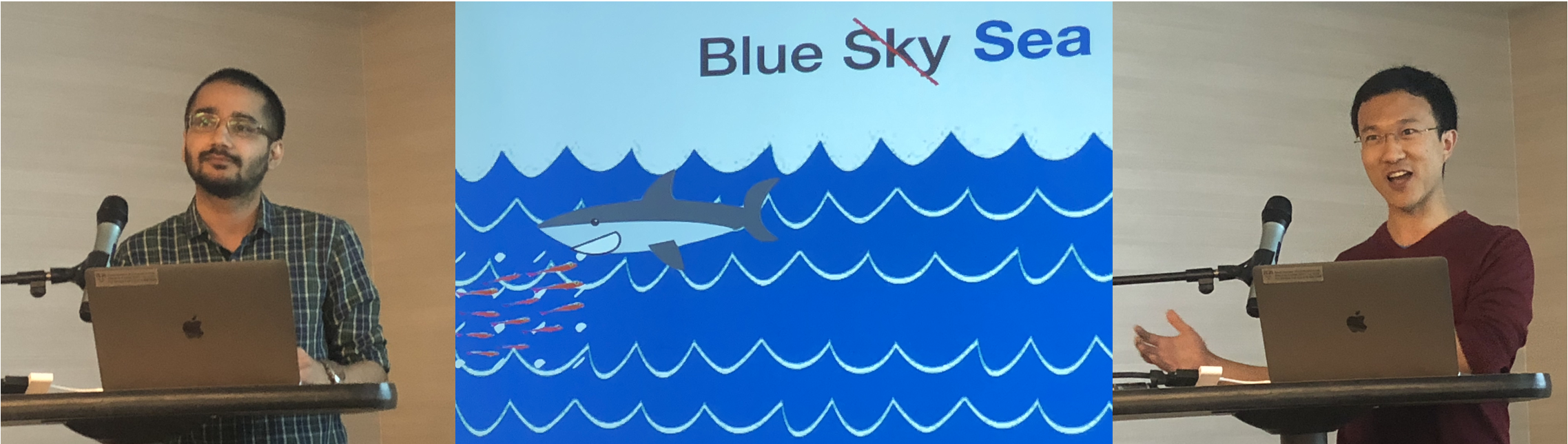 SteveTheShark.png