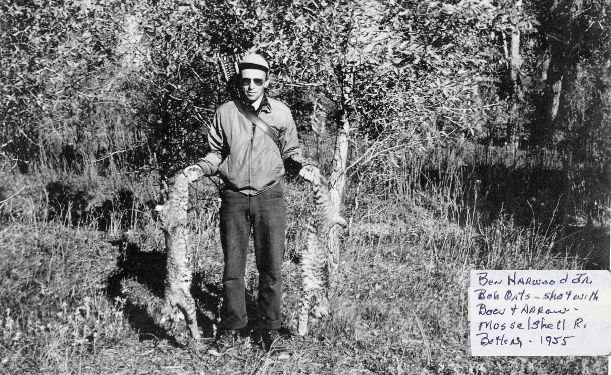 MY GRANDFATHER WITH TWO BOBCATS HE HUNTED WITH A BOW AND ARROW