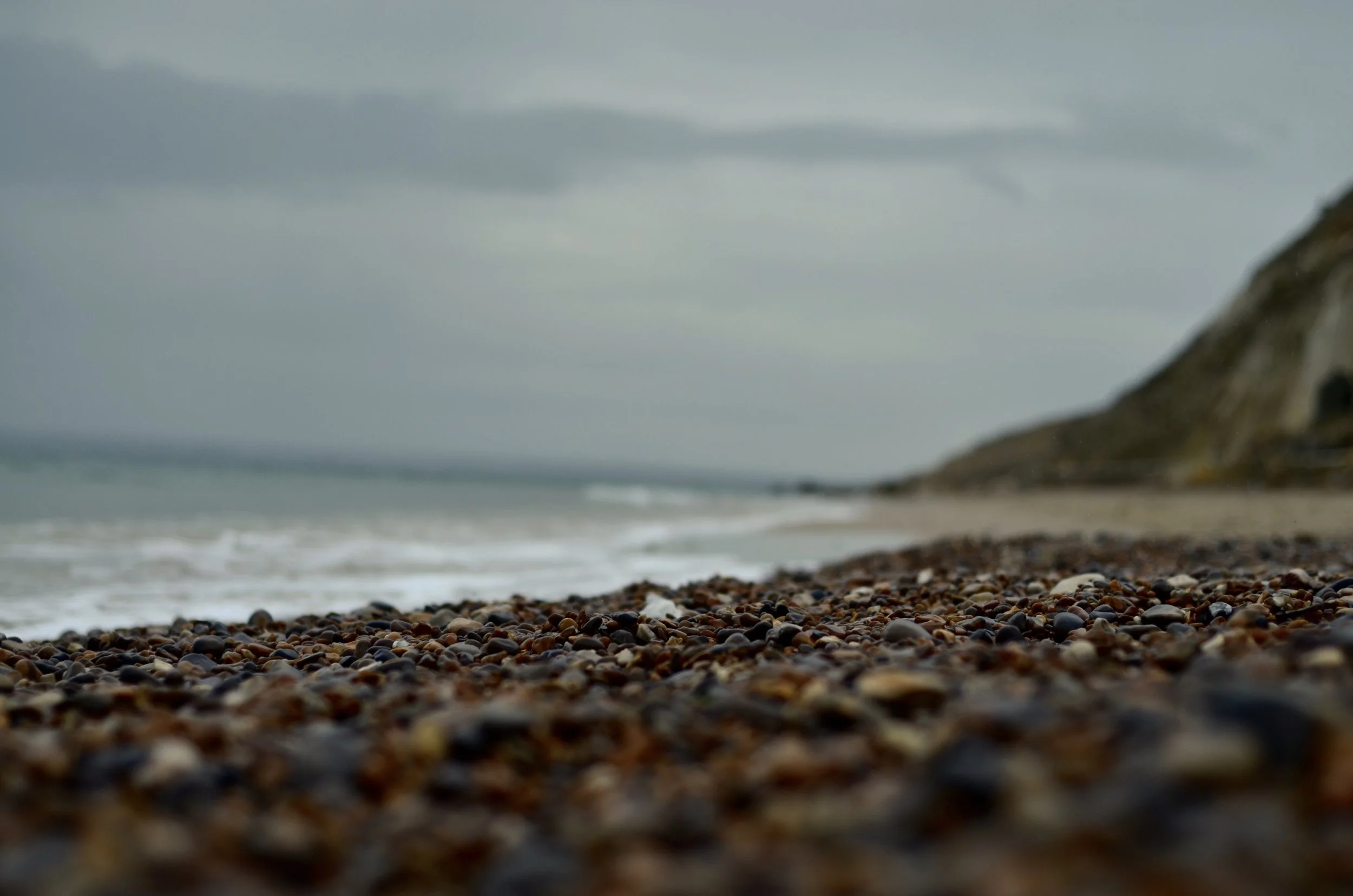DSC_0369.jpg