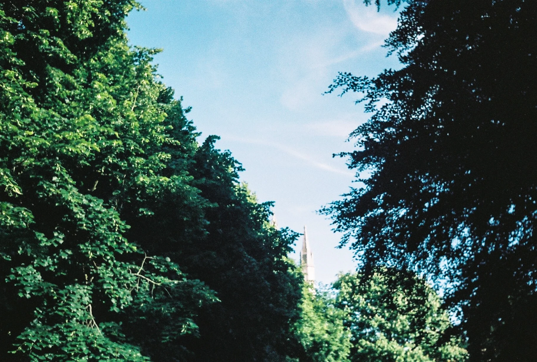 Export (18 of 36).jpg