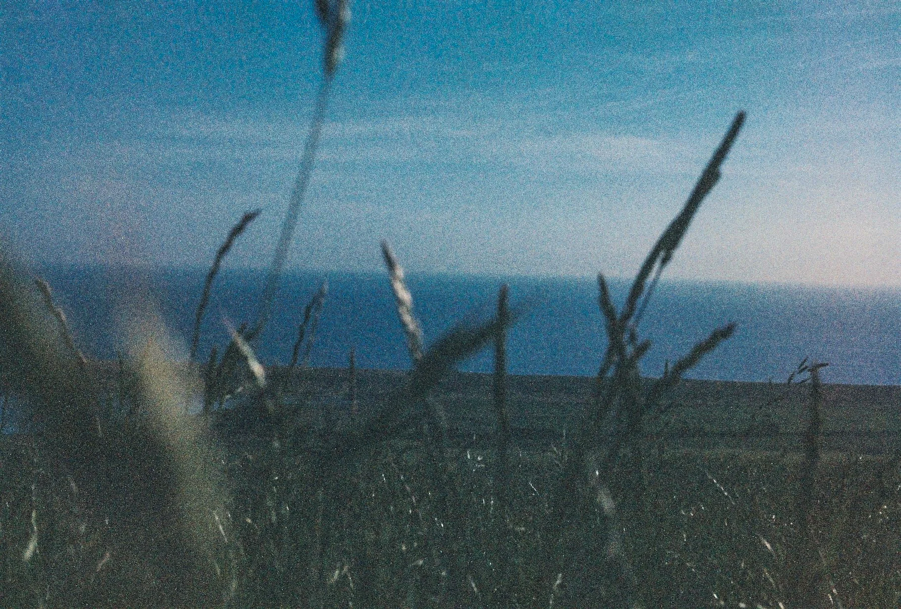 Export (10 of 30).jpg