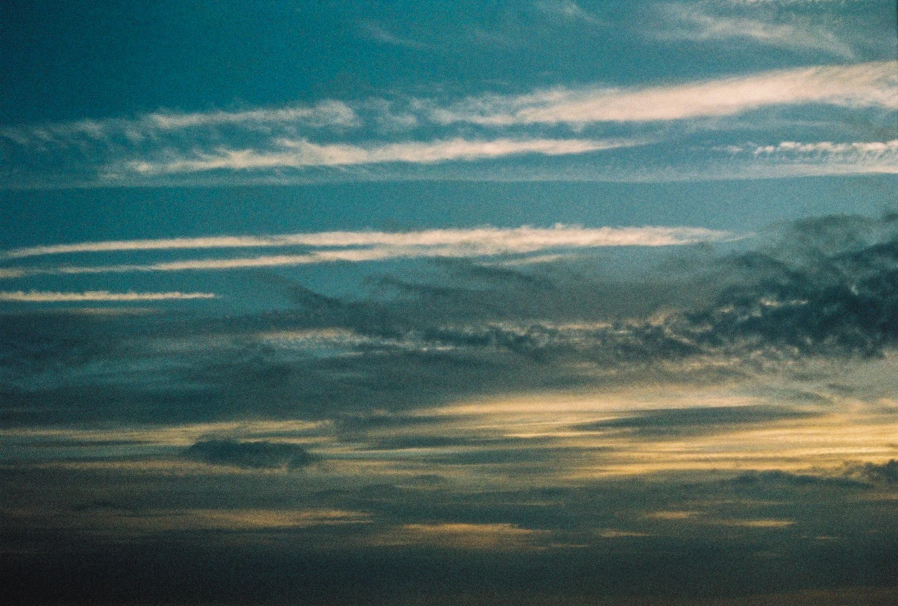 Export (27 of 30).jpg