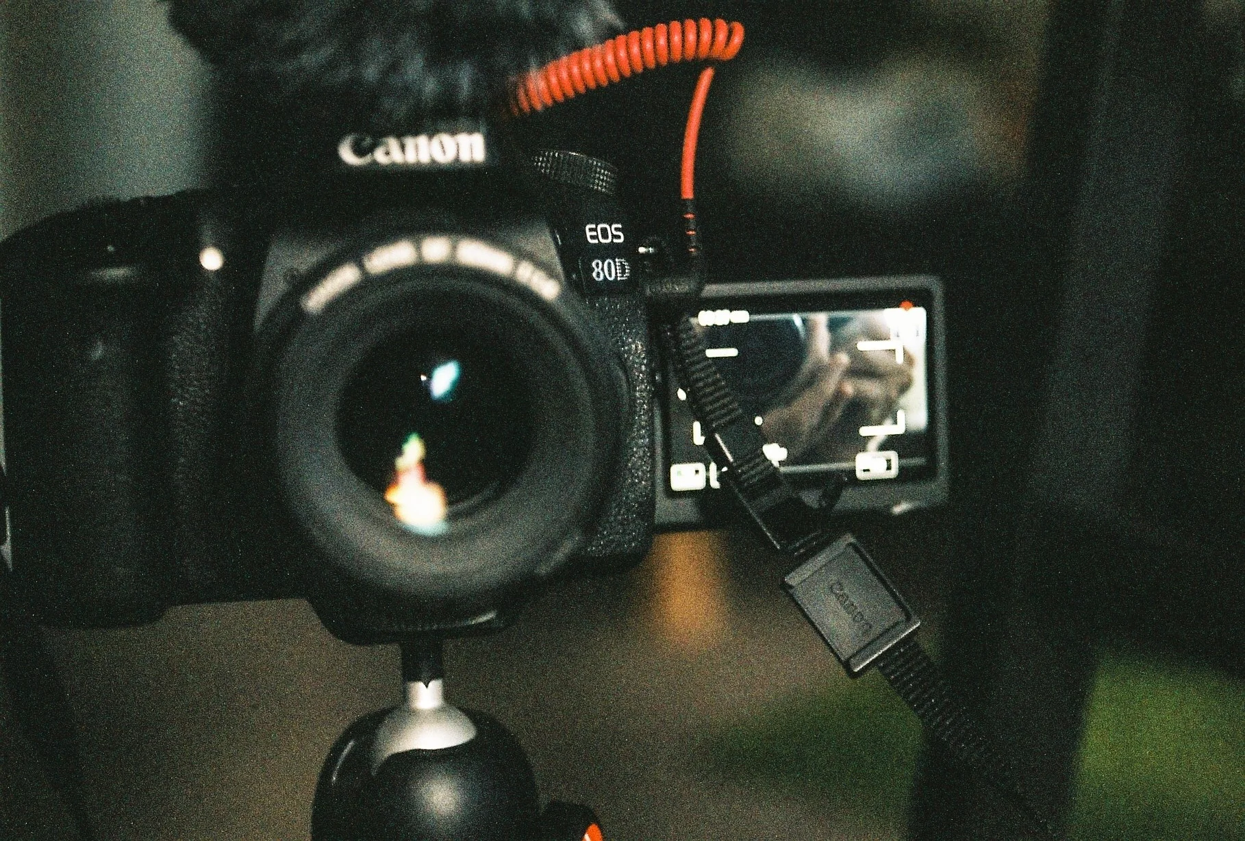 Export (3 of 33).jpg