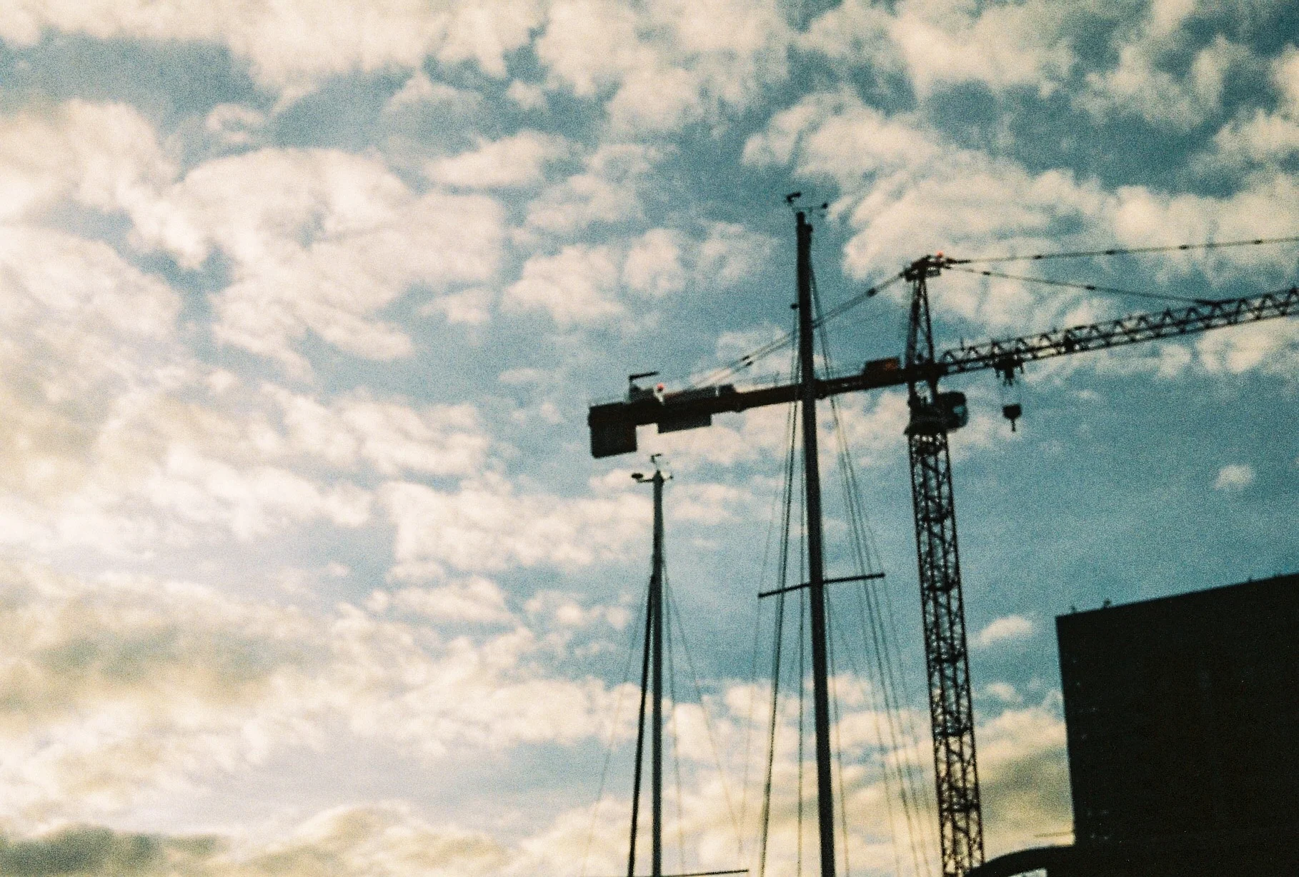 Export (10 of 33).jpg