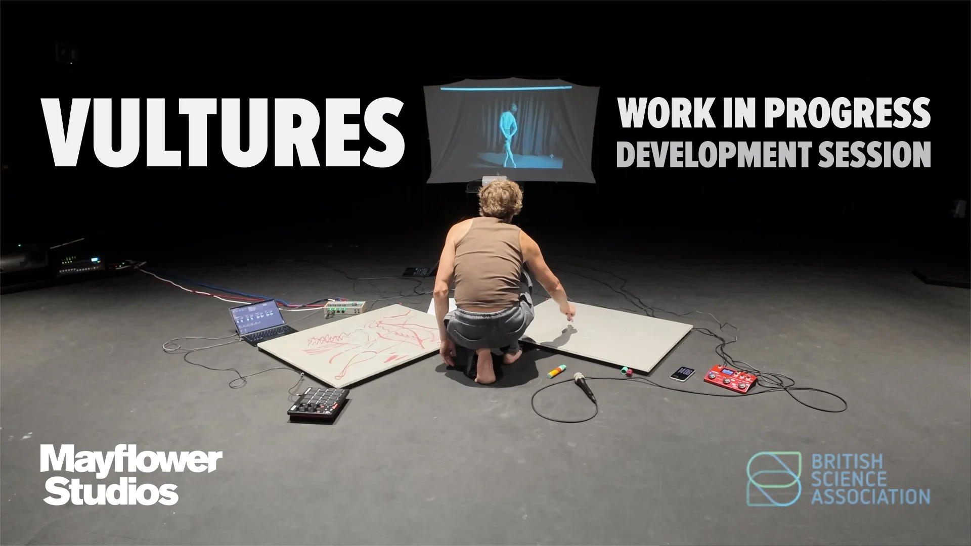 Project announcement: ‘Vultures’, with Mayflower Studios, British Science Festival and University of Southampton