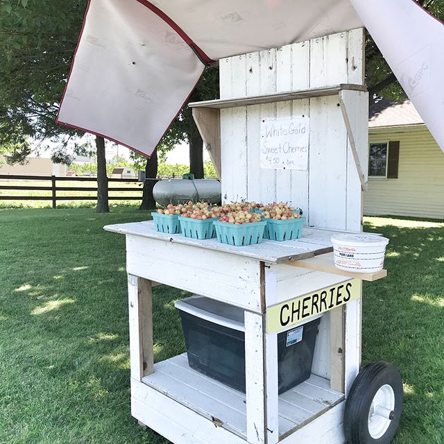 Summer favorite- Rainier Cherries from a road side stand #lancastercofavorites