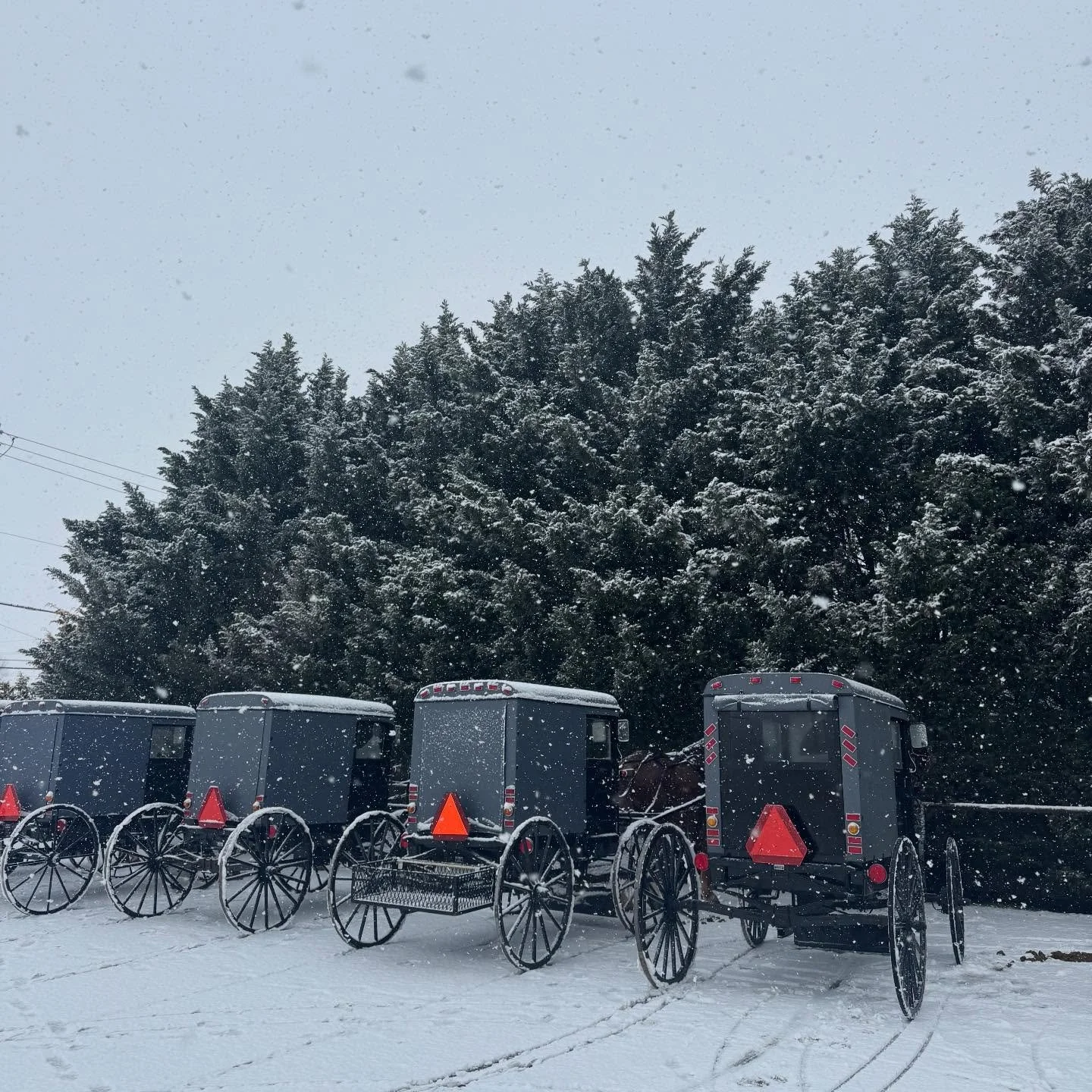 Snow in LanCo this morning