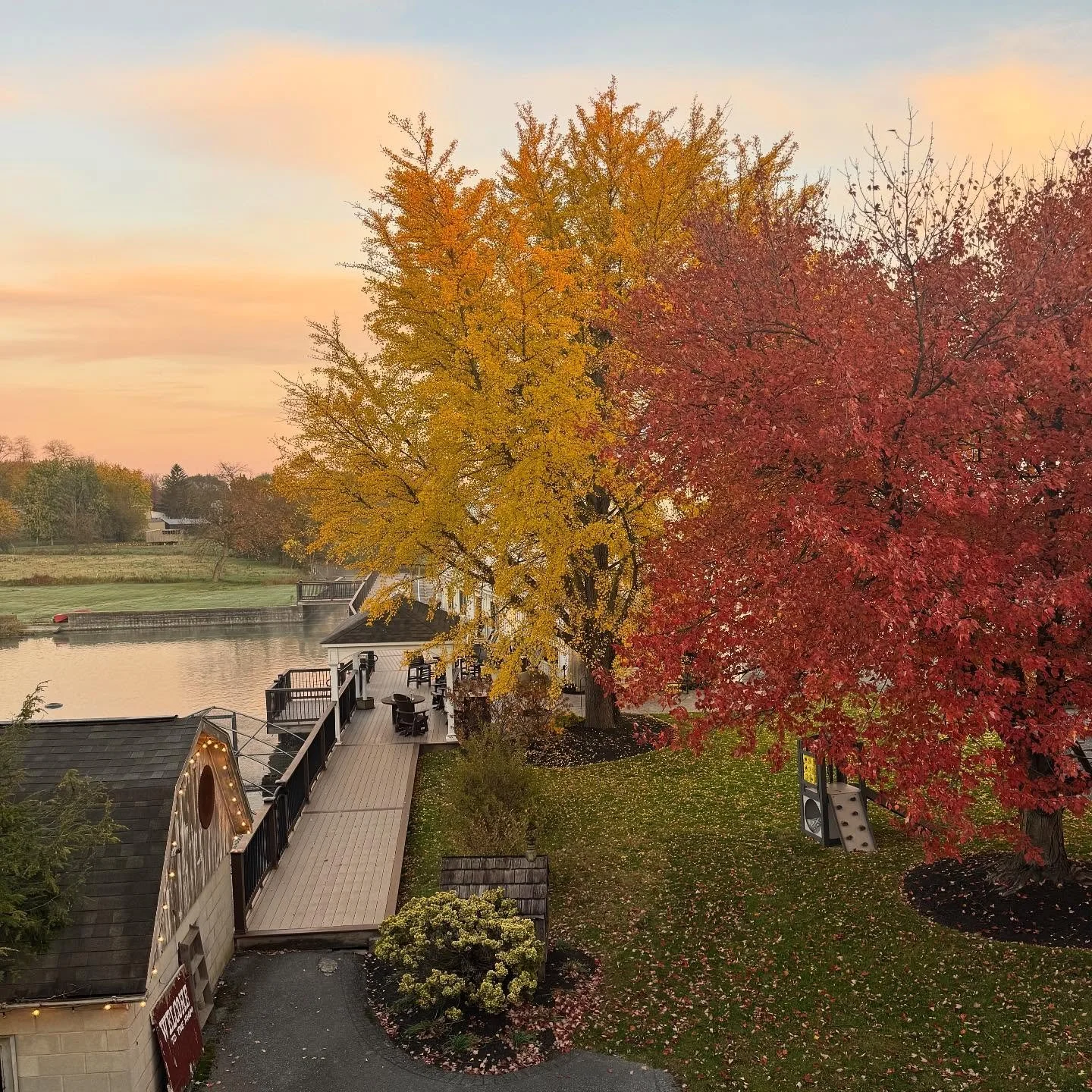 🍂