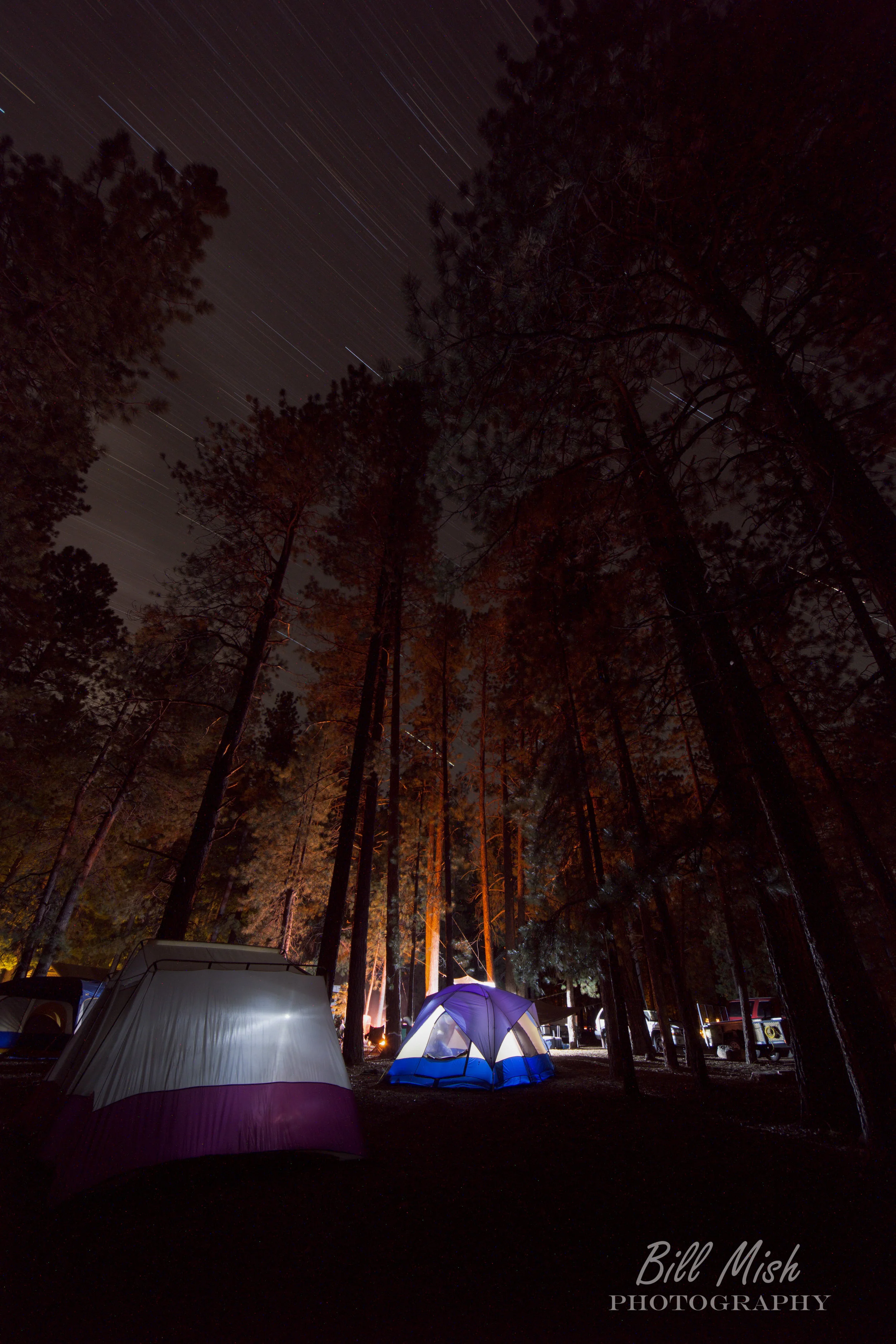 DSC_43232-2-2.jpg