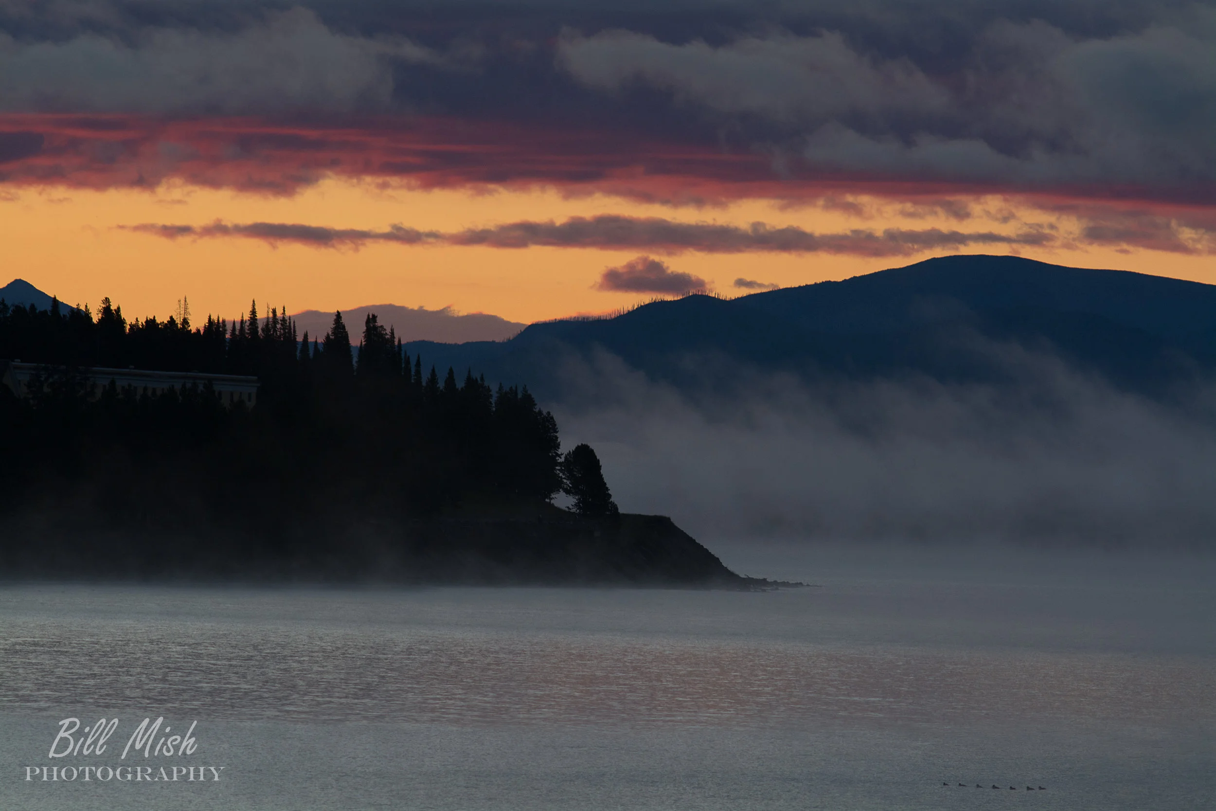 DSC_3166-Edit-2.jpg