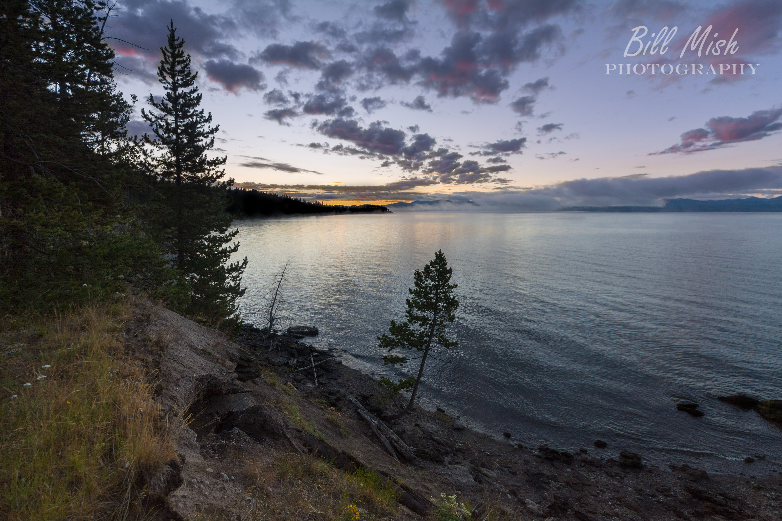 DSC_3169-Edit-2.jpg
