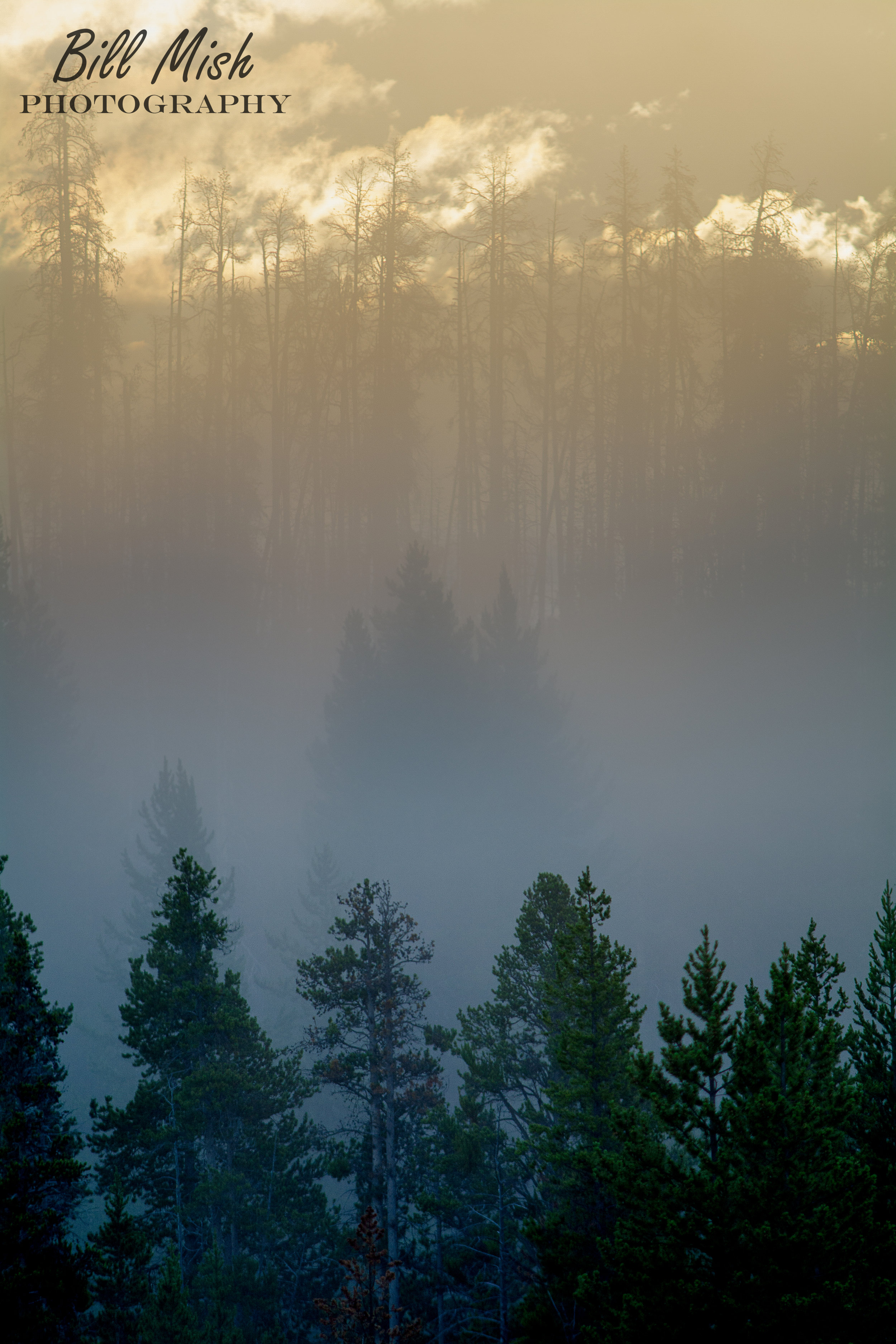 DSC_3202 +0-Edit-2.jpg