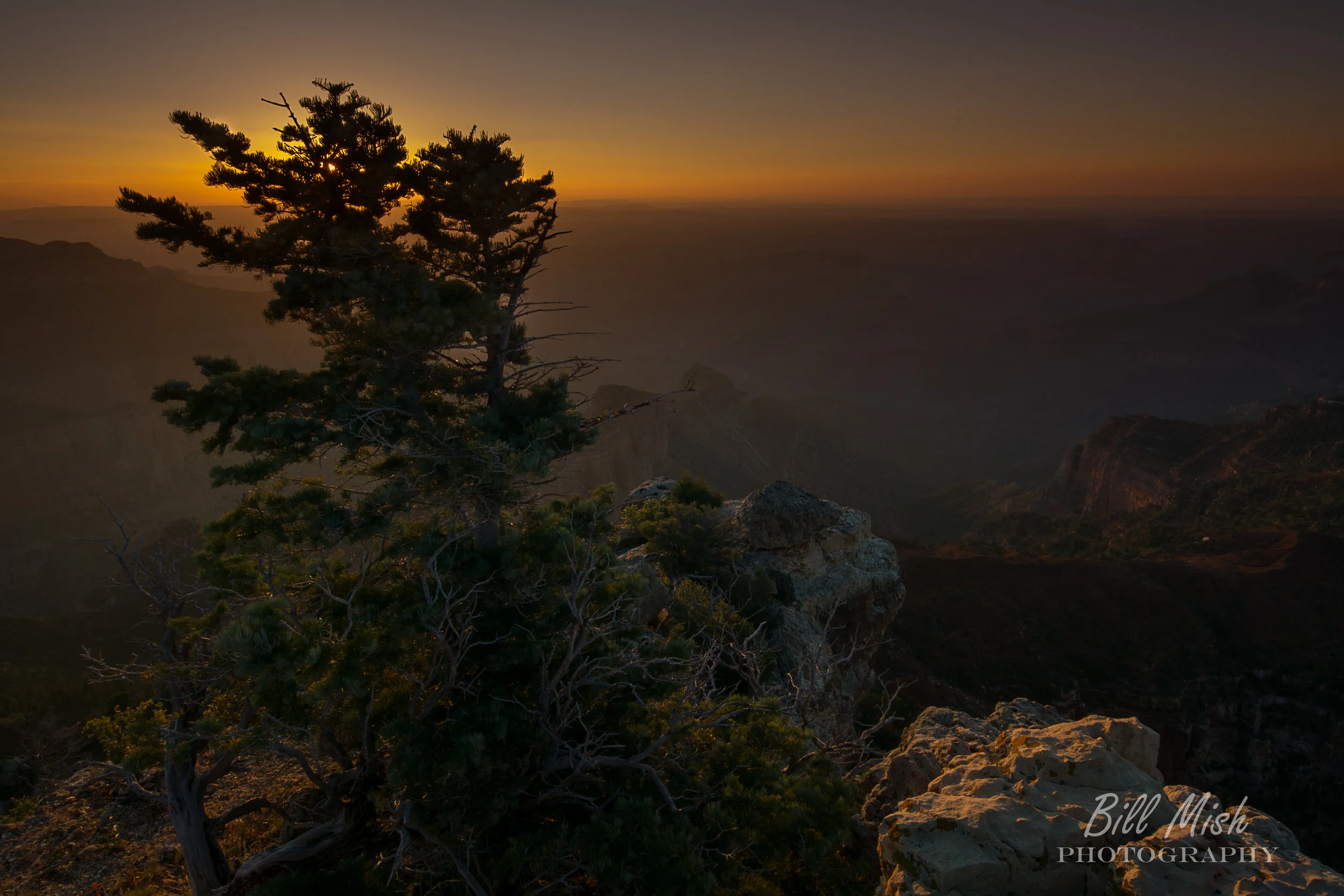 DSC_4045-Edit.jpg