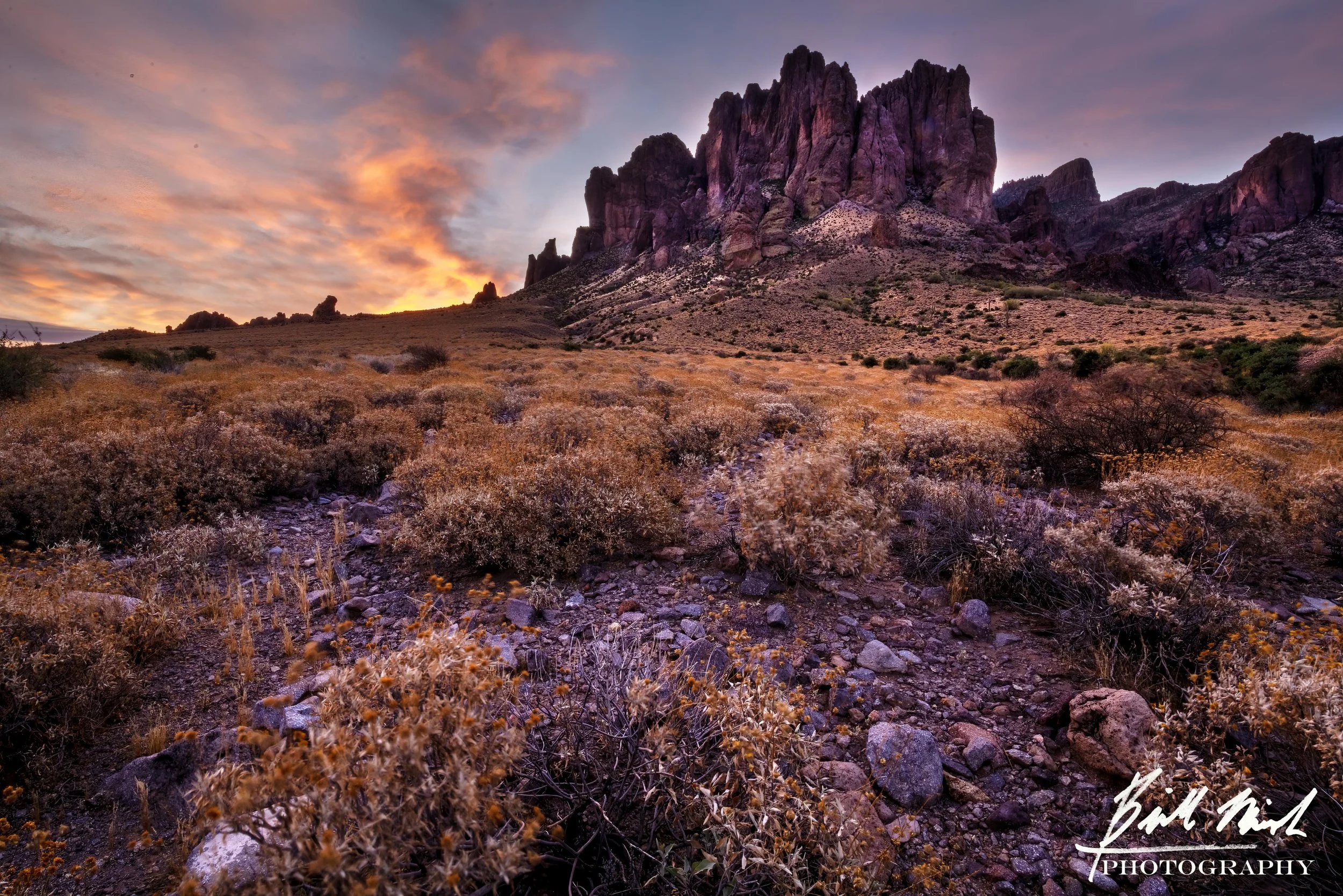 DSC_9329-HDR_1Low.jpg