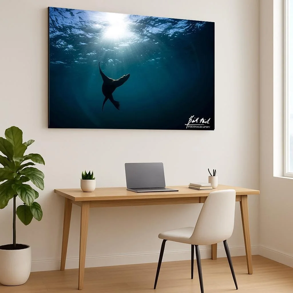 https://i.etsystatic.com/14206894/r/il/5745b7/6869898597/il_fullxfull.6869898597_6bxt.jpg