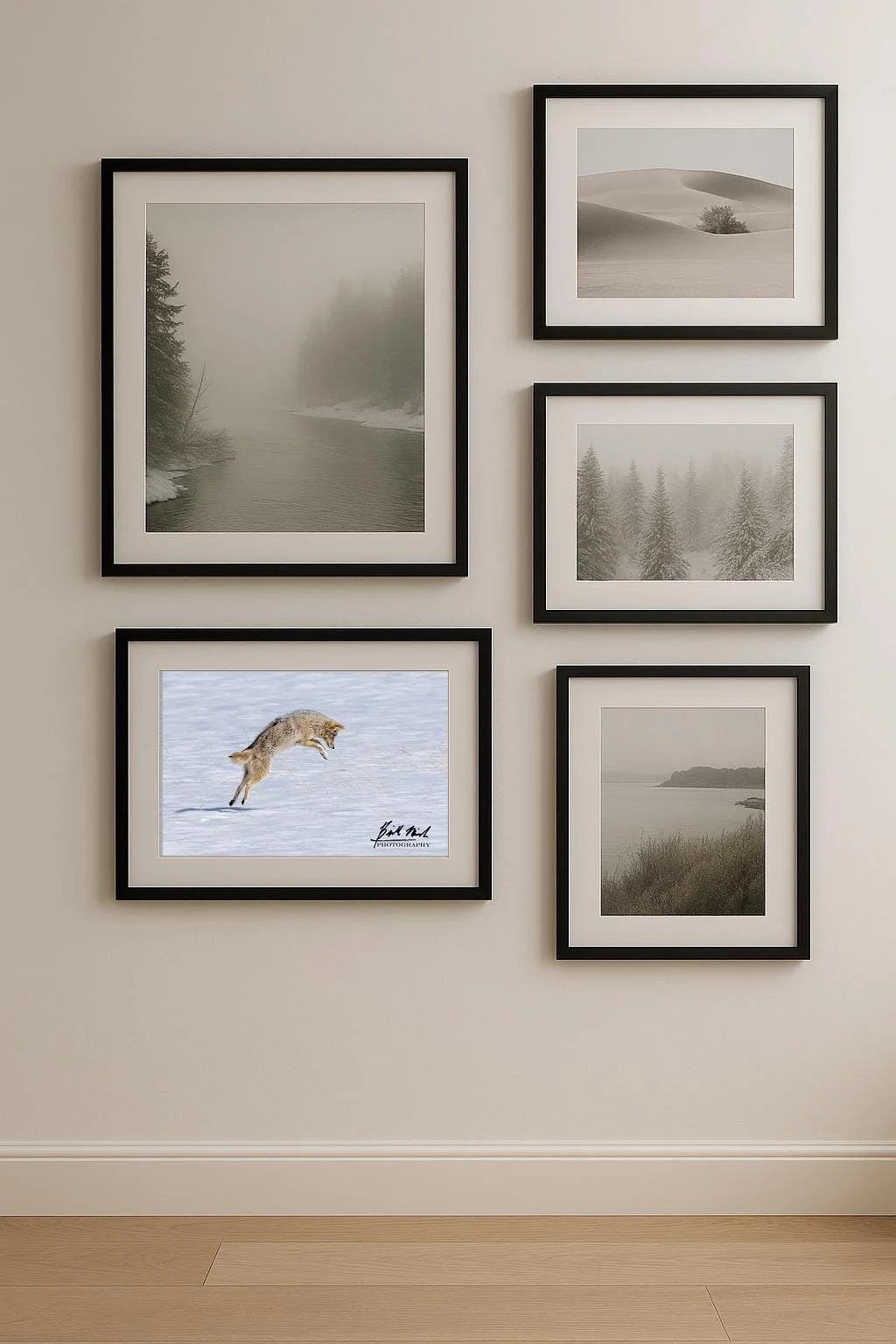 https://i.etsystatic.com/14206894/r/il/3114cd/6887862402/il_fullxfull.6887862402_kbiq.jpg