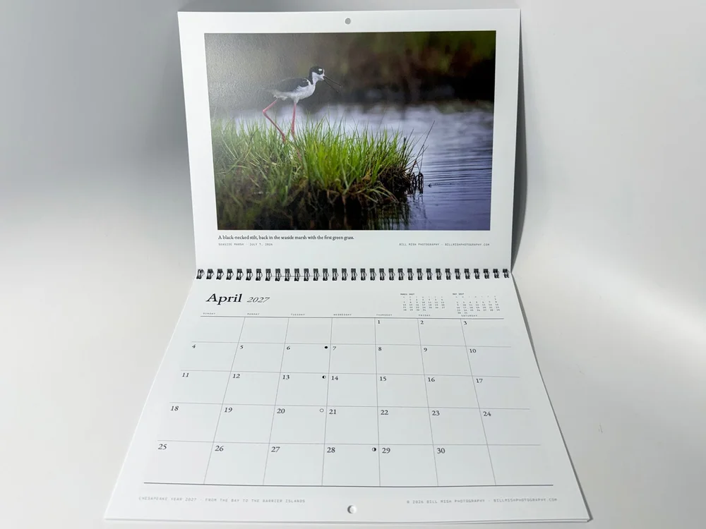The calendar open to April, with a black-necked stilt above the April grid and black wire-o binding