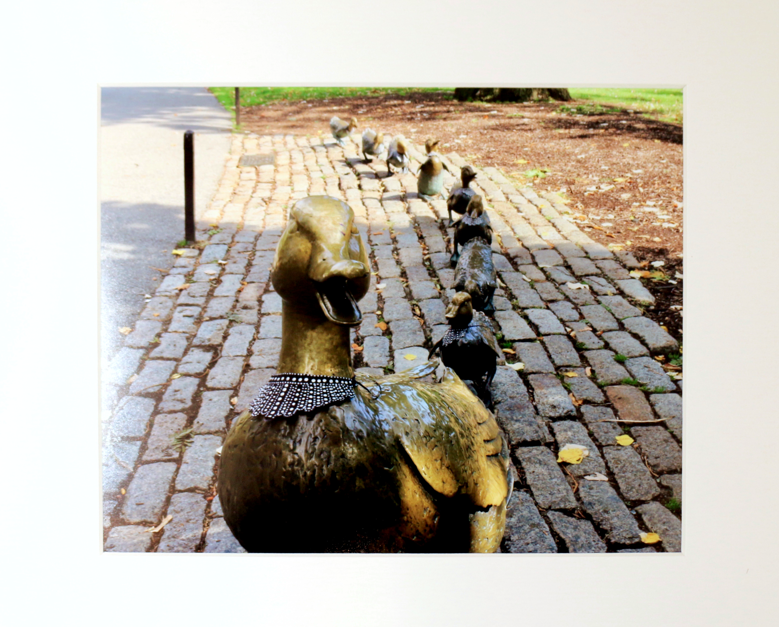  Dissent Ducklings  Giclee print 