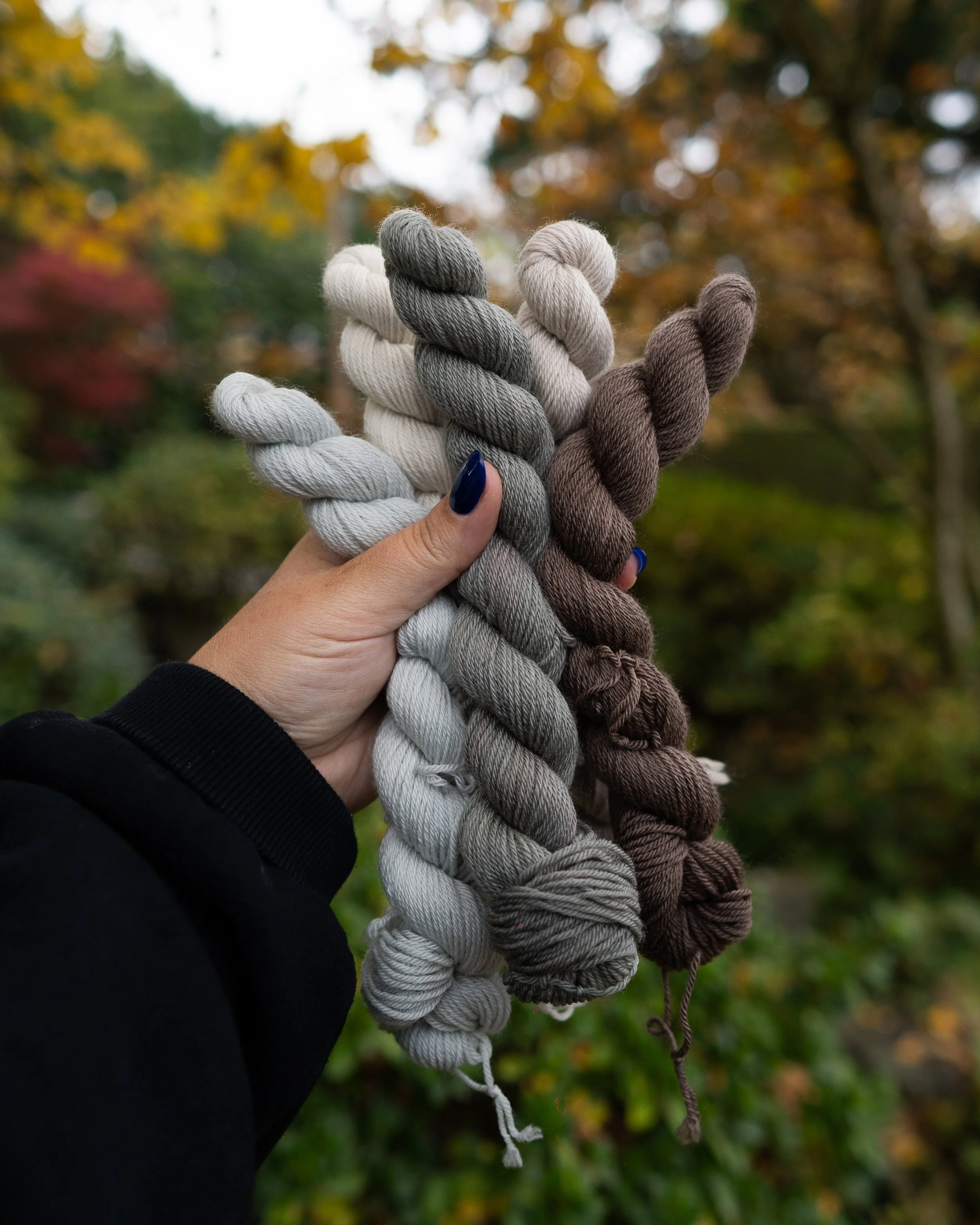 socksandminis-10.jpg
