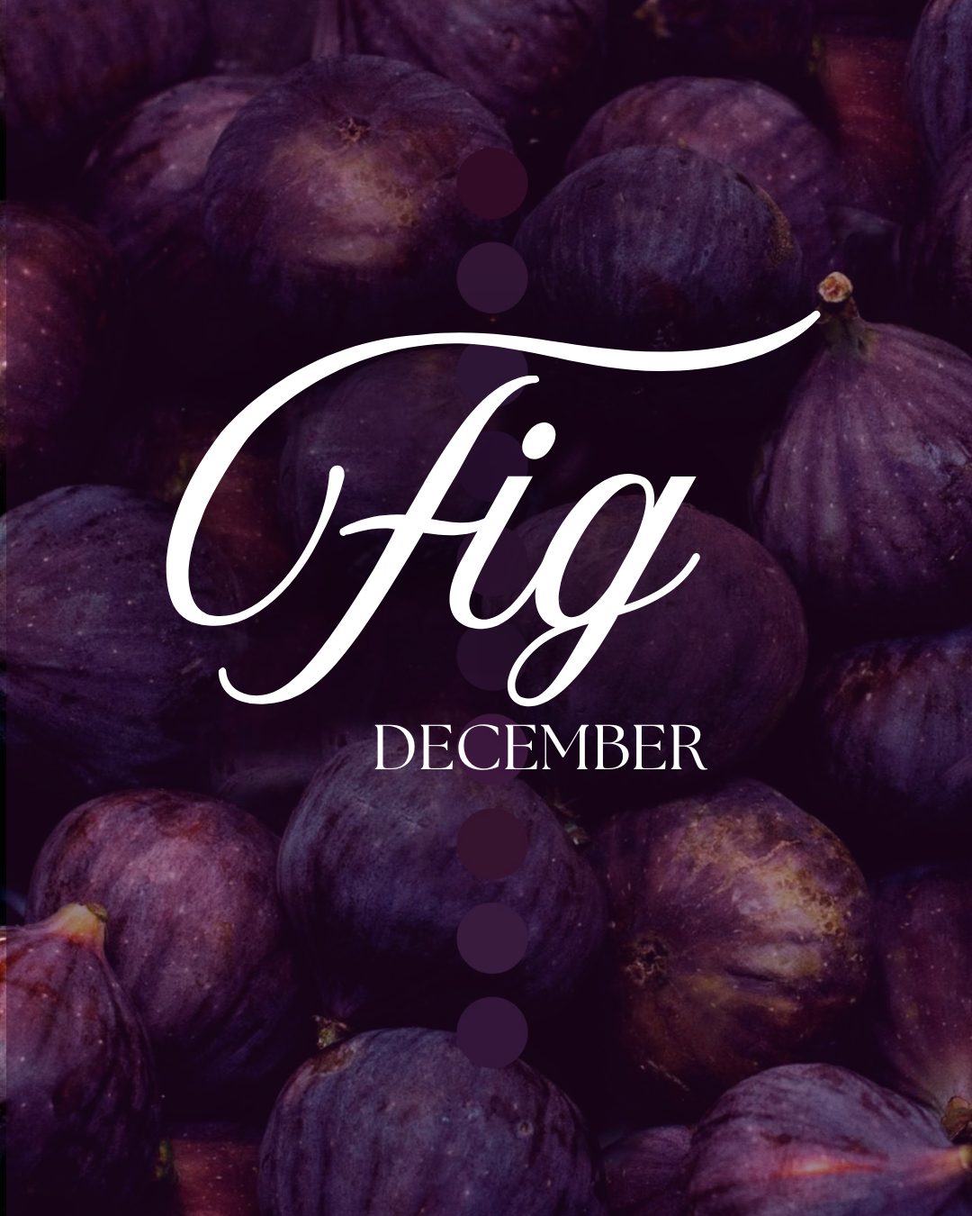 DECEMBER: FIG