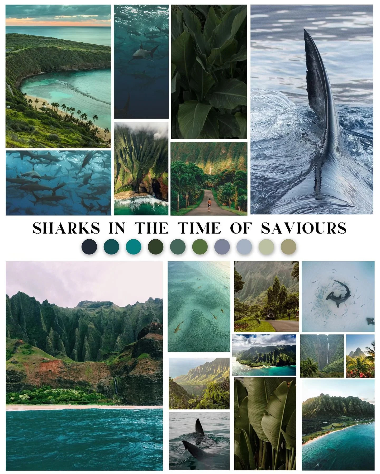 PASLEY KNITS YARN COMPANY