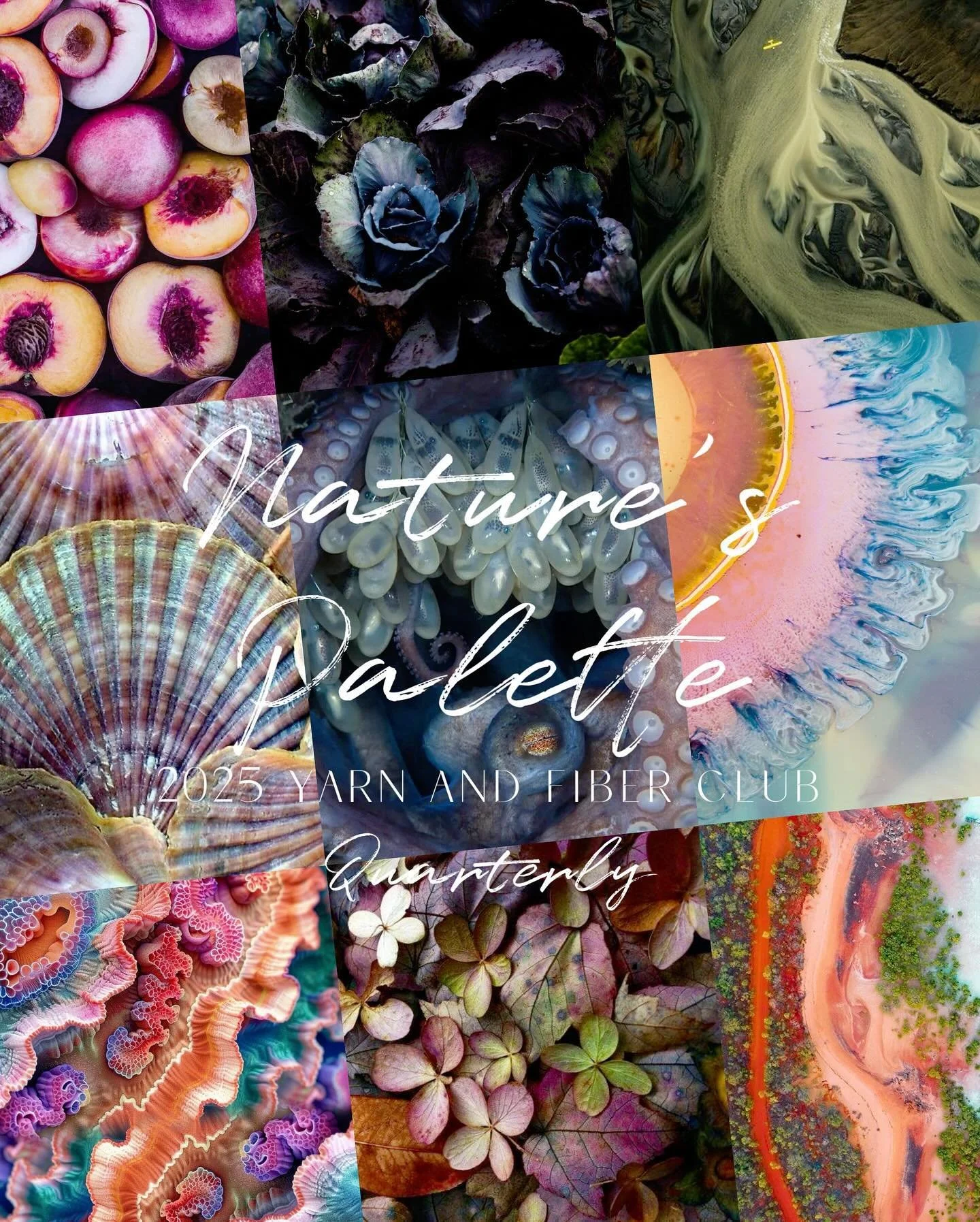 PASLEY KNITS YARN COMPANY