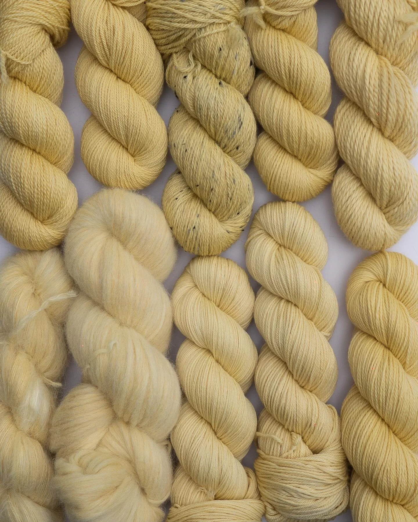 The second half of everyone&rsquo;s favourite duo&hellip; 

MERRY 💛

This straw yellow just brings me so much joy 🥹 inspired by Merry&rsquo;s vest, I feel like this colourway is as happy as Merry&rsquo;s name itself. 

Bases top L-R: Polwarth Sock 