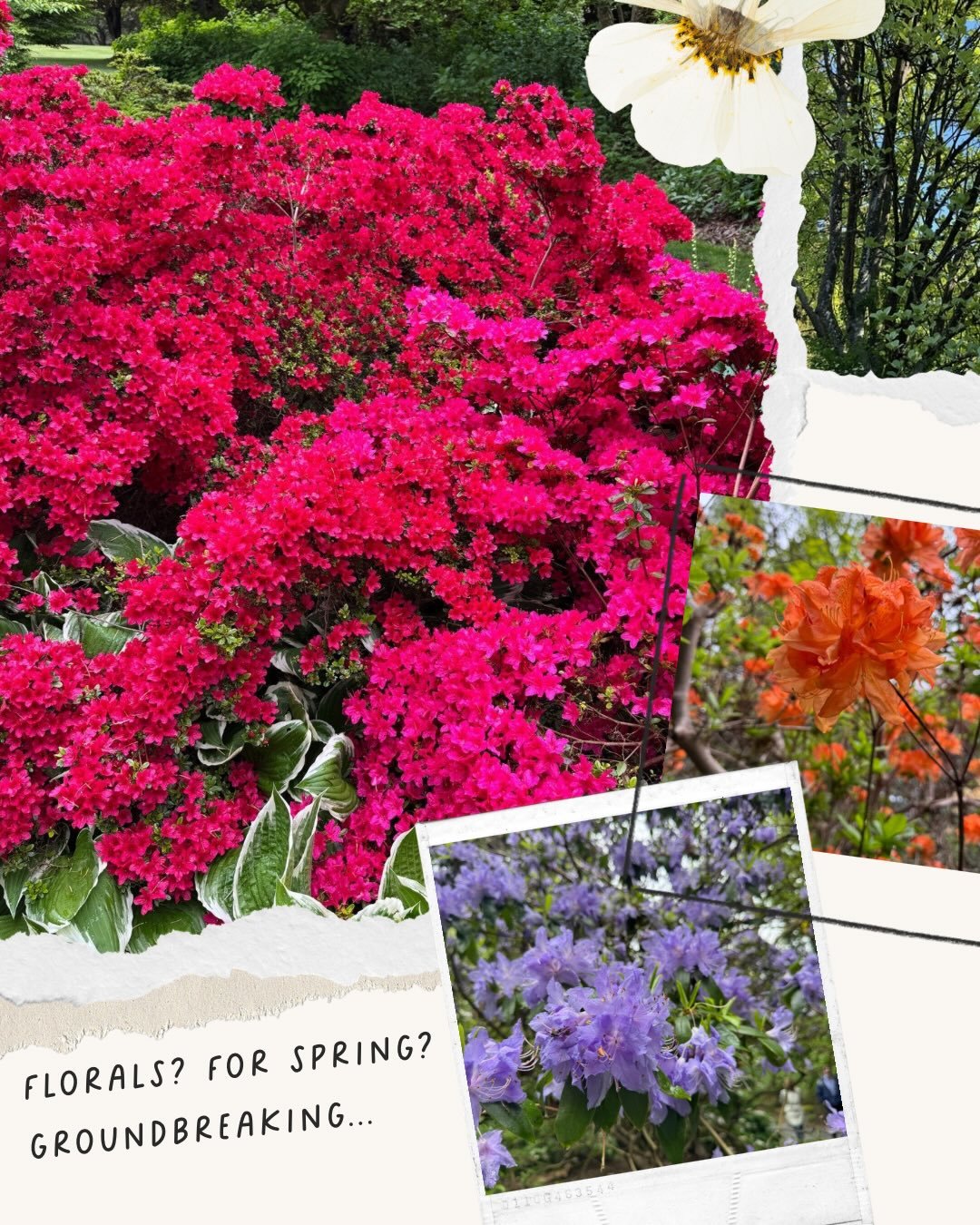 Florals? For spring? Groundbreaking 😜

Inspired by one of my favourite places in Vancouver, I am SO excited to tell y&rsquo;all about our new upcoming collection:

BOTANICAL GARDENS 🌺🌸🌼🌻🌷🪻

Fourteen tonals inspired by all the gorgeous blooms y